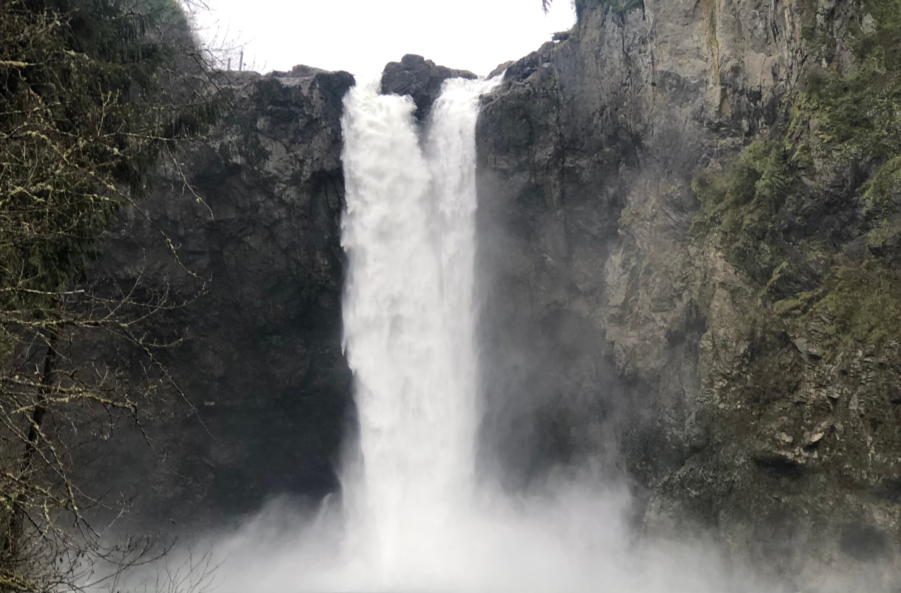 Seattle: Snoqualmie Falls and Twin Falls Guided Tour - 2026 (Verified Reviews)