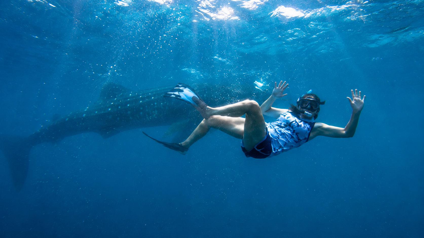 Oslob Whale Sharks & Kawasan Canyoneering Shared Adventure