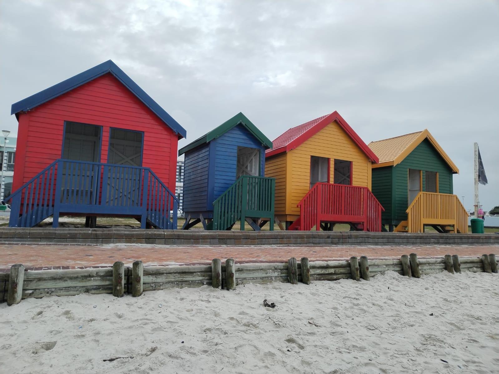 Cape Peninsula Wildlife & Scenic Coastal Tour
