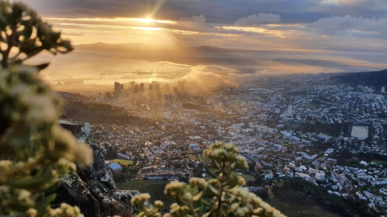 Cape Town: Lion's Head or Table Mountain Guided Hike