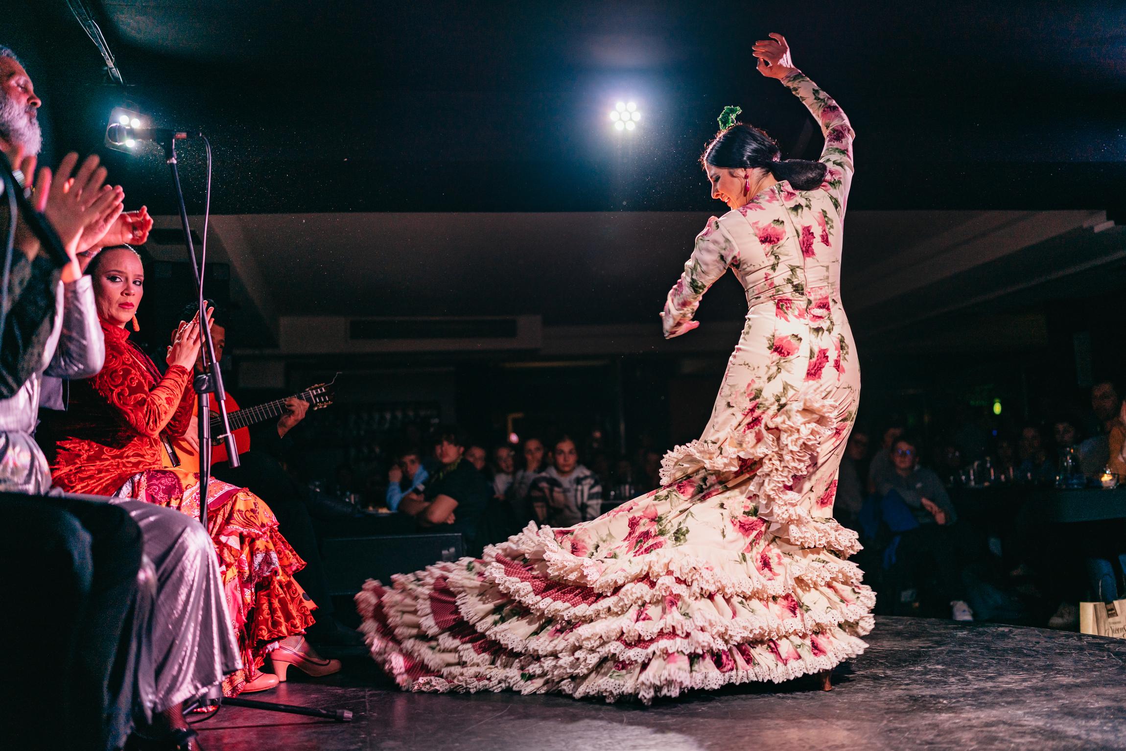 Flamenco Show at Tablao Las Carboneras, Madrid