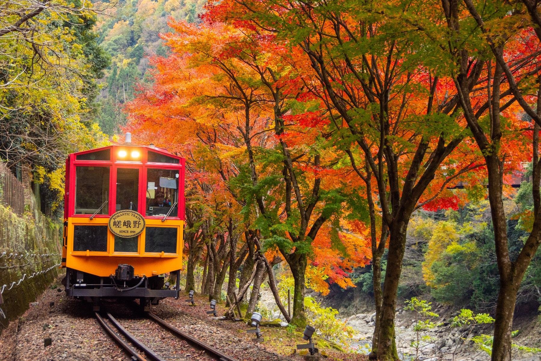 Kyoto Sagano Romantic Train & Hozugawa River Boat Adventure