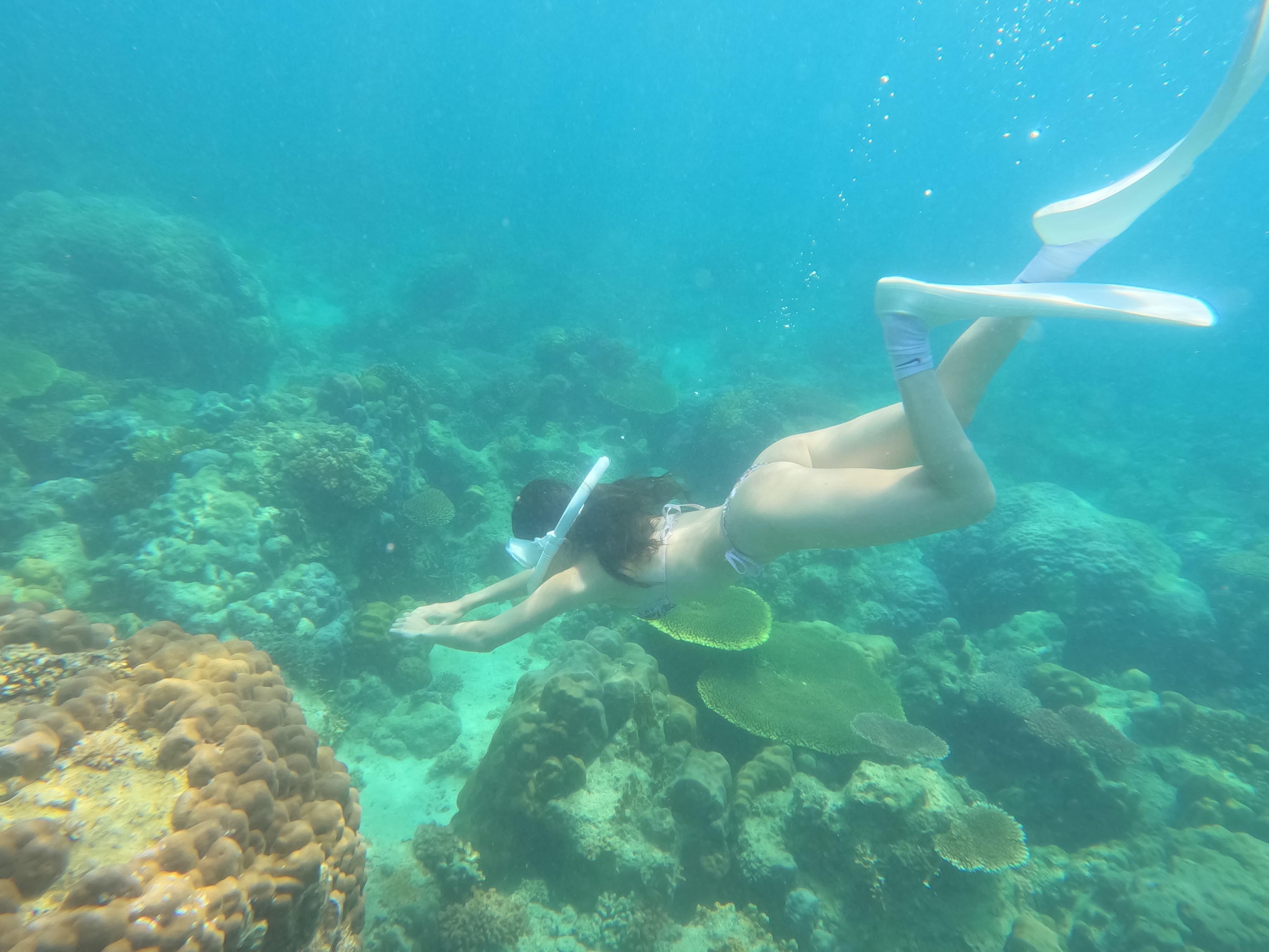 Coron Dugong Snorkeling & Coral Garden Day Tour
