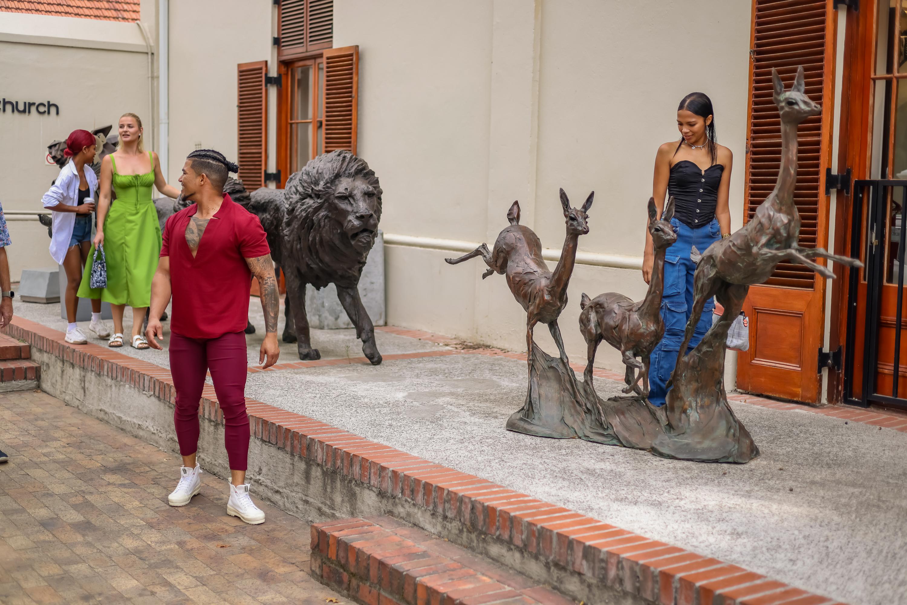 Cape Town Full-Day Wine Tasting & Wine Tram Tour