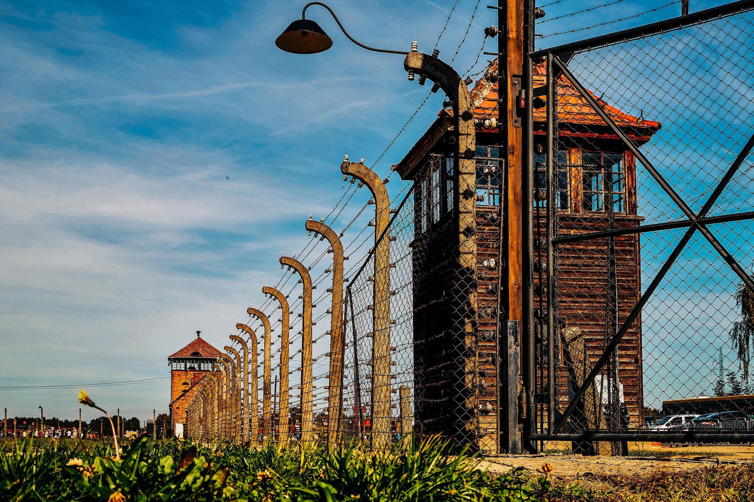 Kraków: Auschwitz-Birkenau and Wieliczka Salt Mine Day Trip