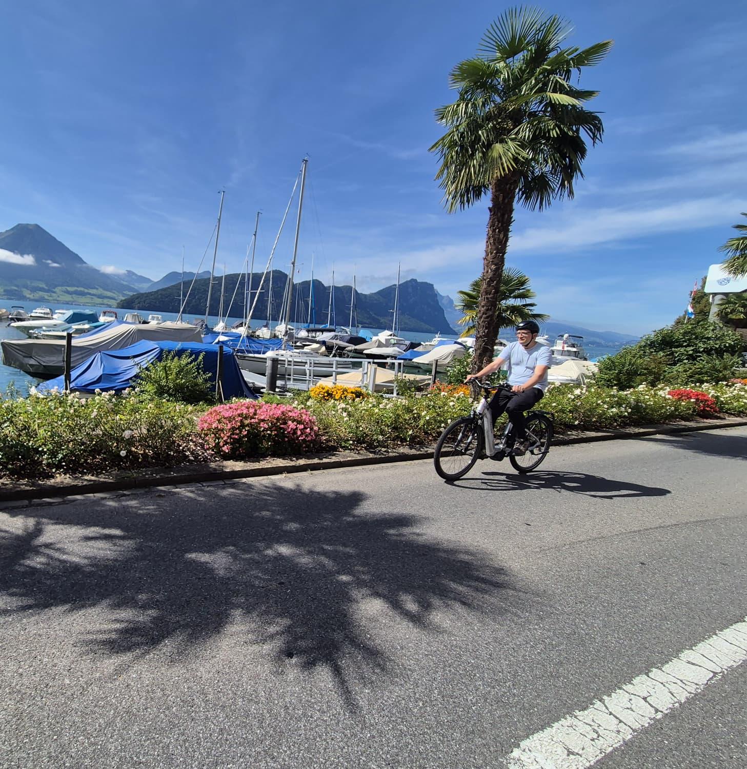 Private Lake Lucerne Cycling Adventure with Boat Return