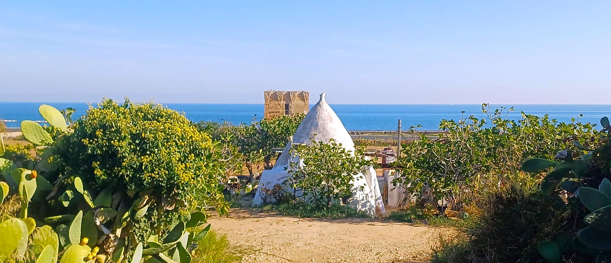 Apulia & Basilicata Highlights: Day Trip from Bari