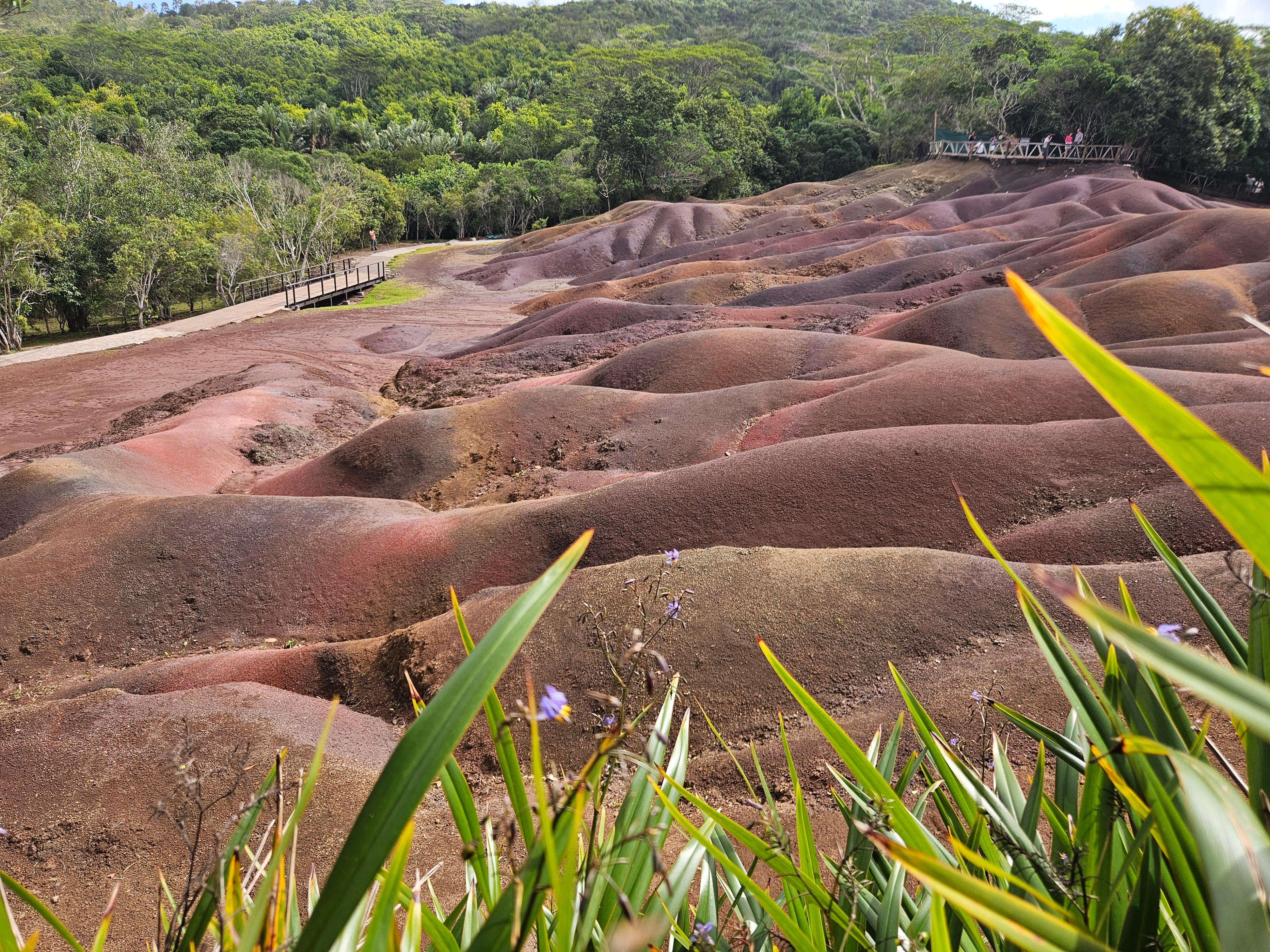 Private Southwest Mauritius: Chamarel & Nature Highlights