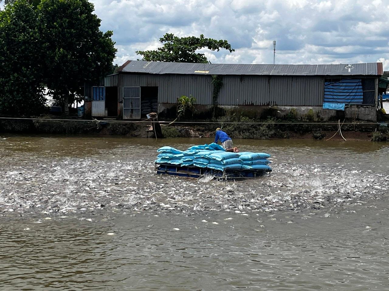 Mekong Delta Day Trip: Cai Rang Floating Market & Cồn Sơn Islet