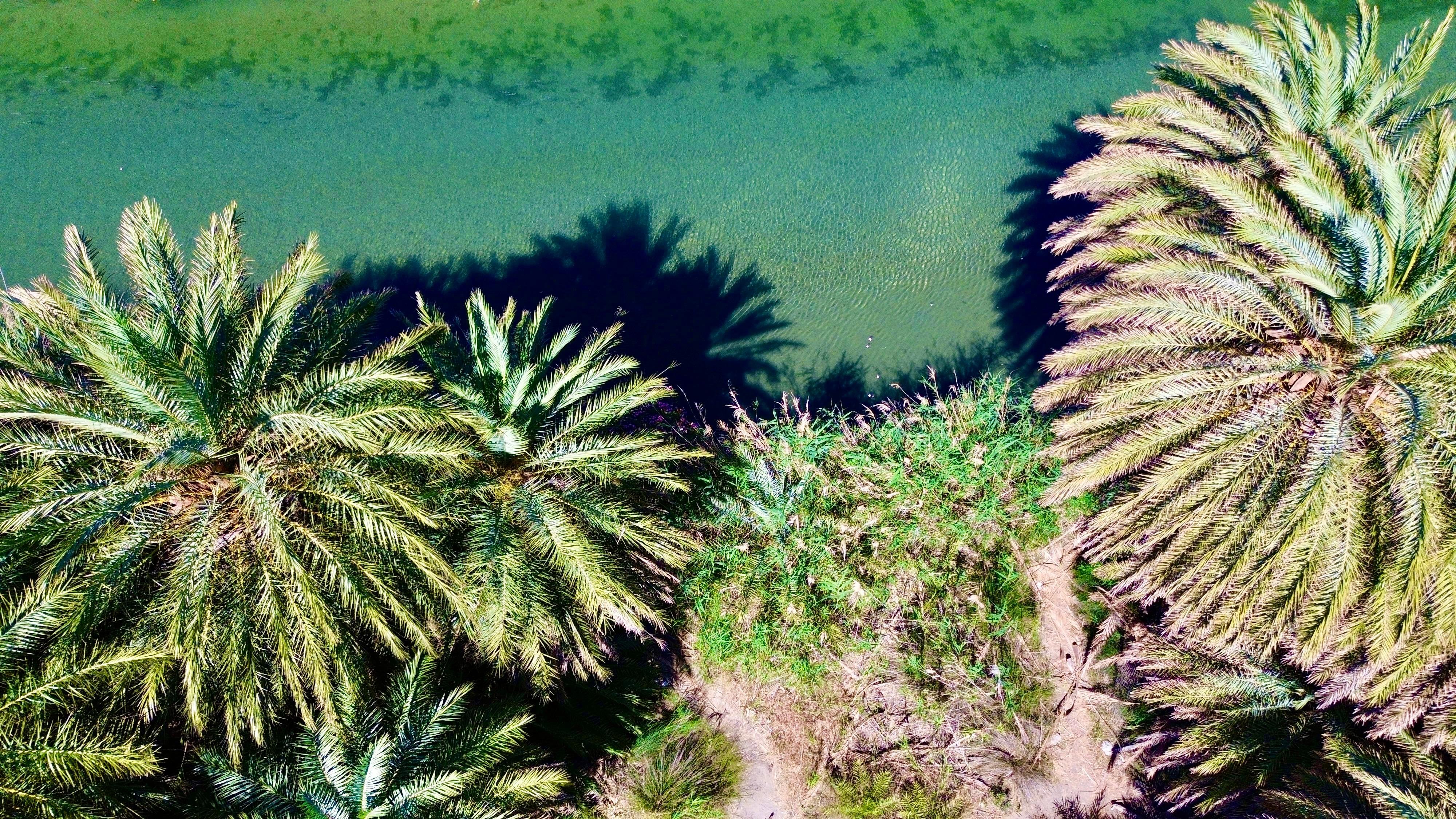 Preveli Beach & Palm Forest Day Trip from Chania