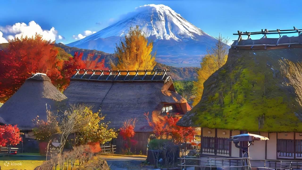 Mt Fuji day trip from Tokyo — image 5