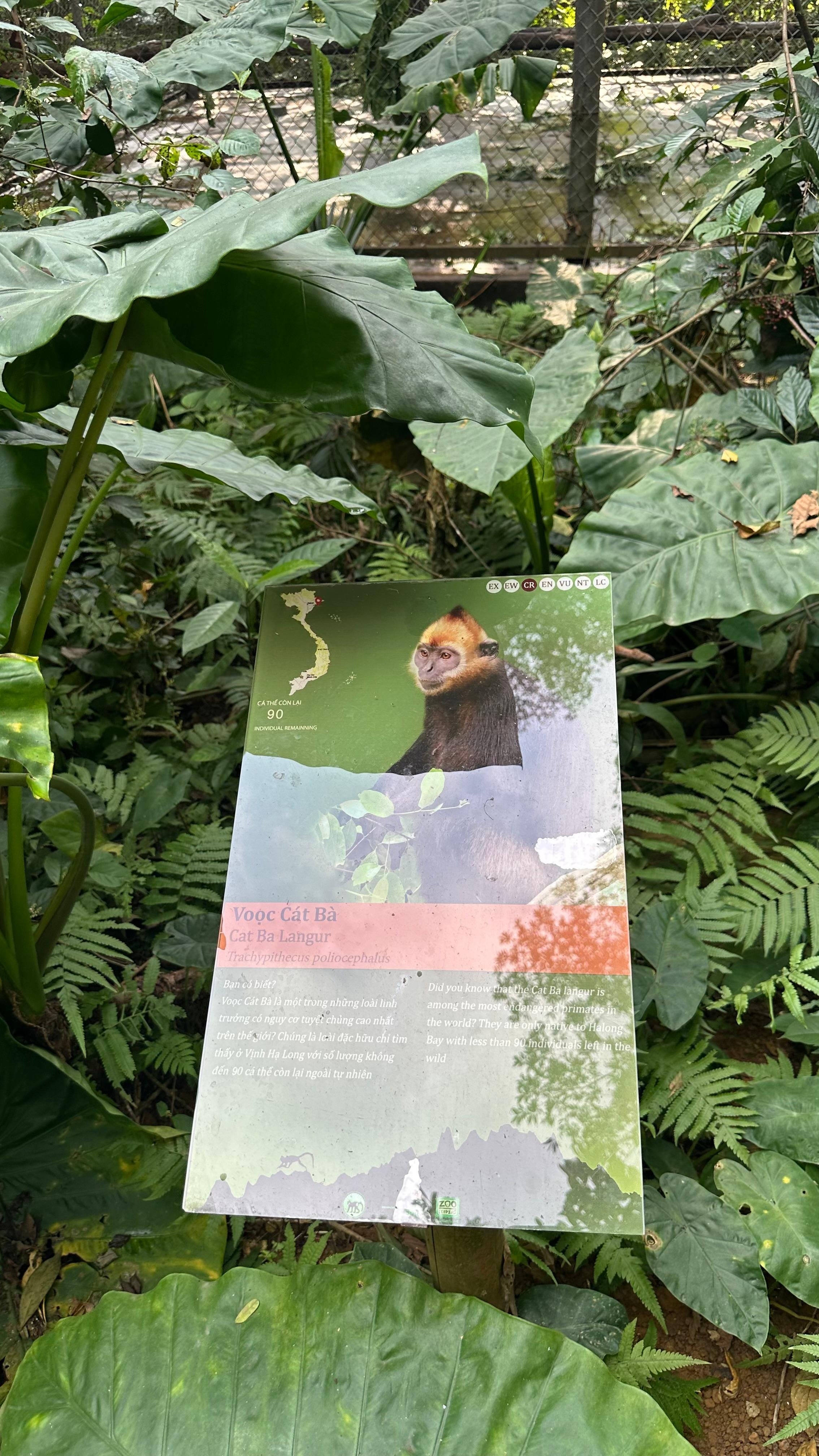 Cuc Phuong National Park Day Trek & Bear Sanctuary from Ninh Binh