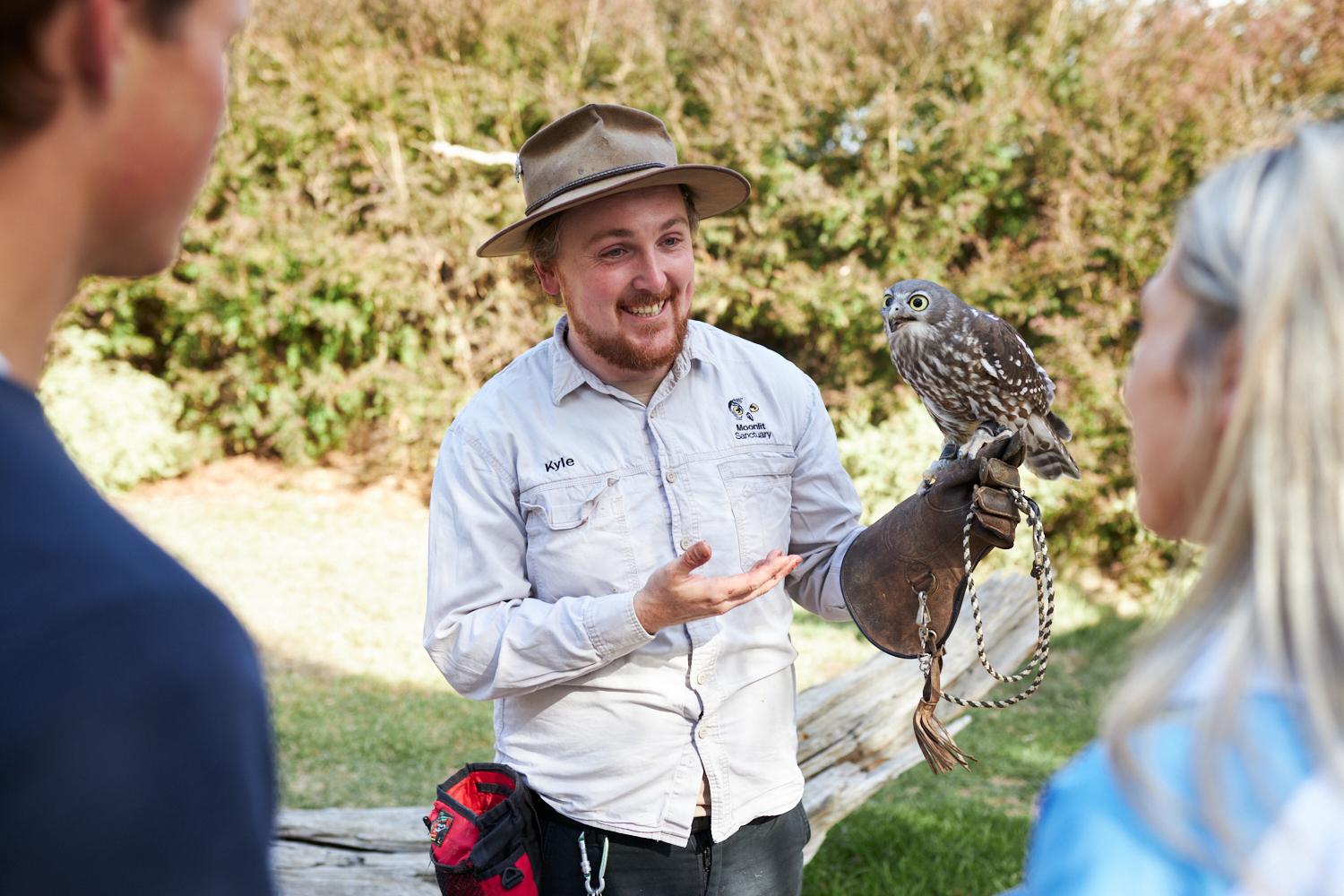 Phillip Island Wildlife & Penguin Parade Day Tour