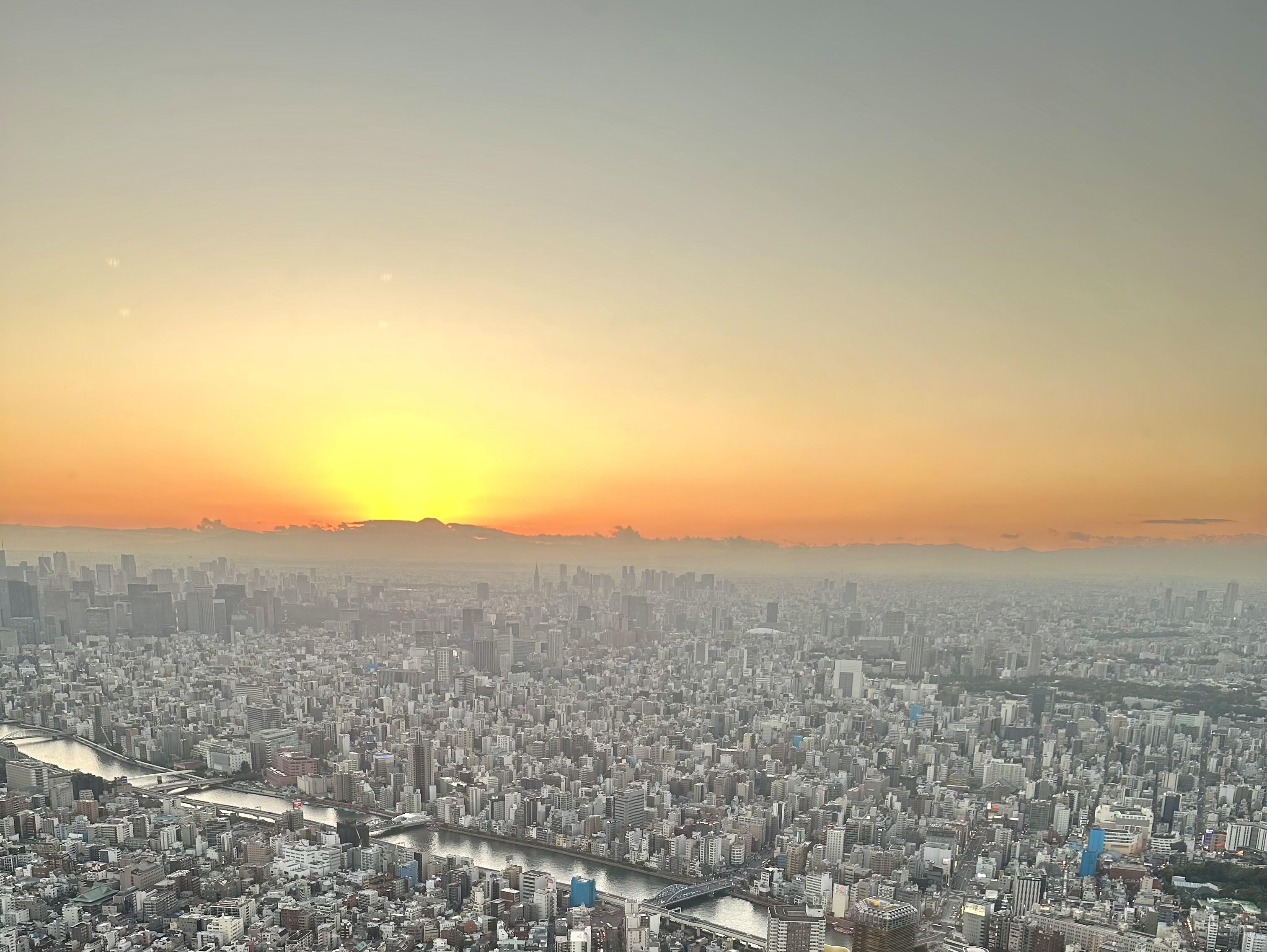 Asakusa History Walk & Tokyo Skytree Ascent