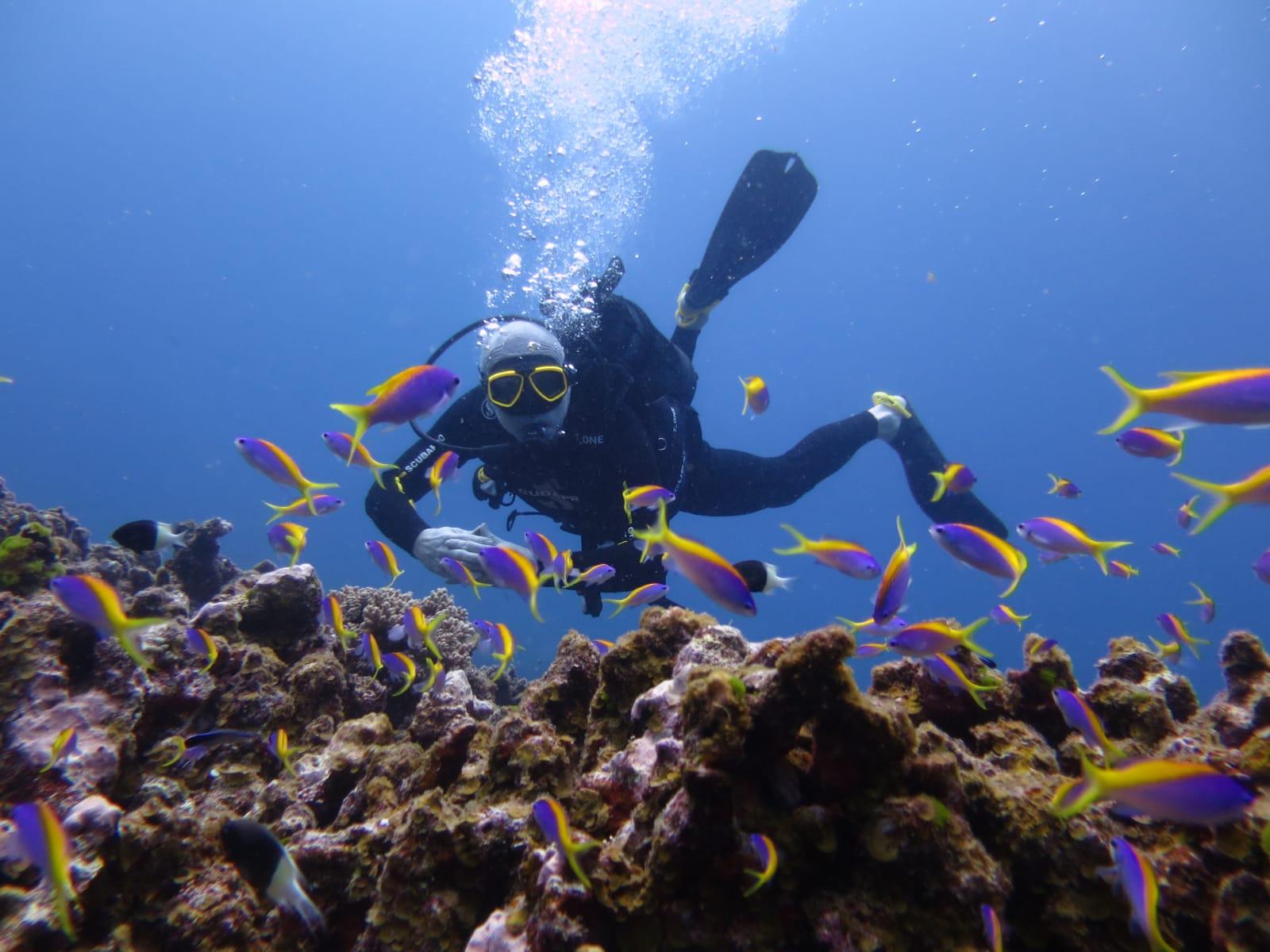 Belle Mare Scuba Discovery: East Coast Mauritius Dive