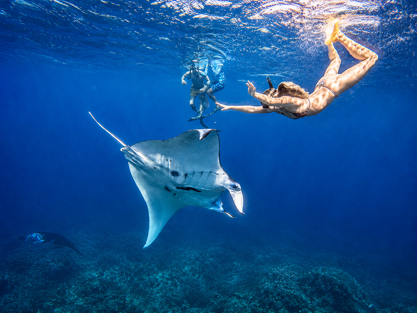 Nusa Penida Snorkeling & West Island Adventure
