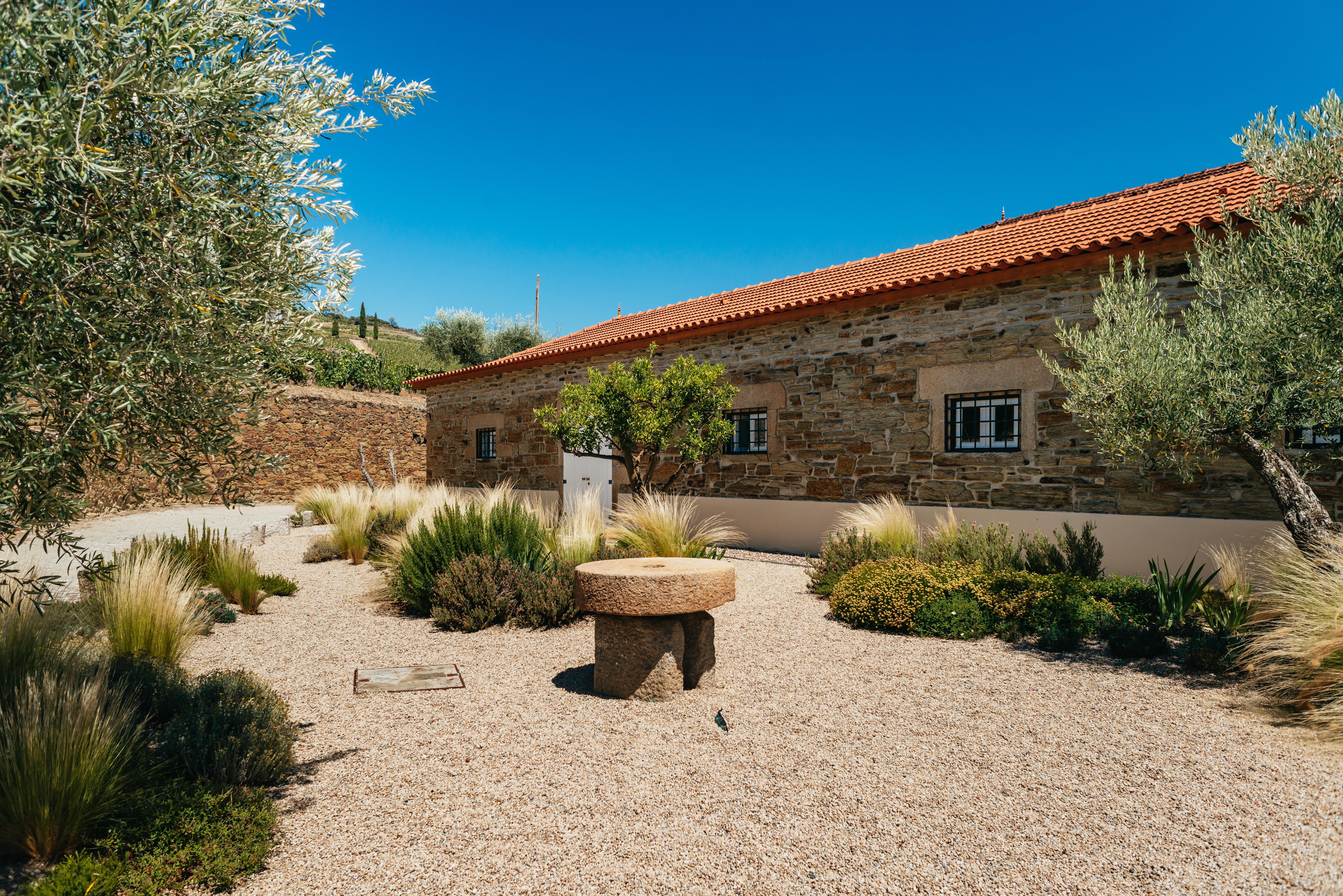 Douro Valley Wine Tour with River Cruise from Porto