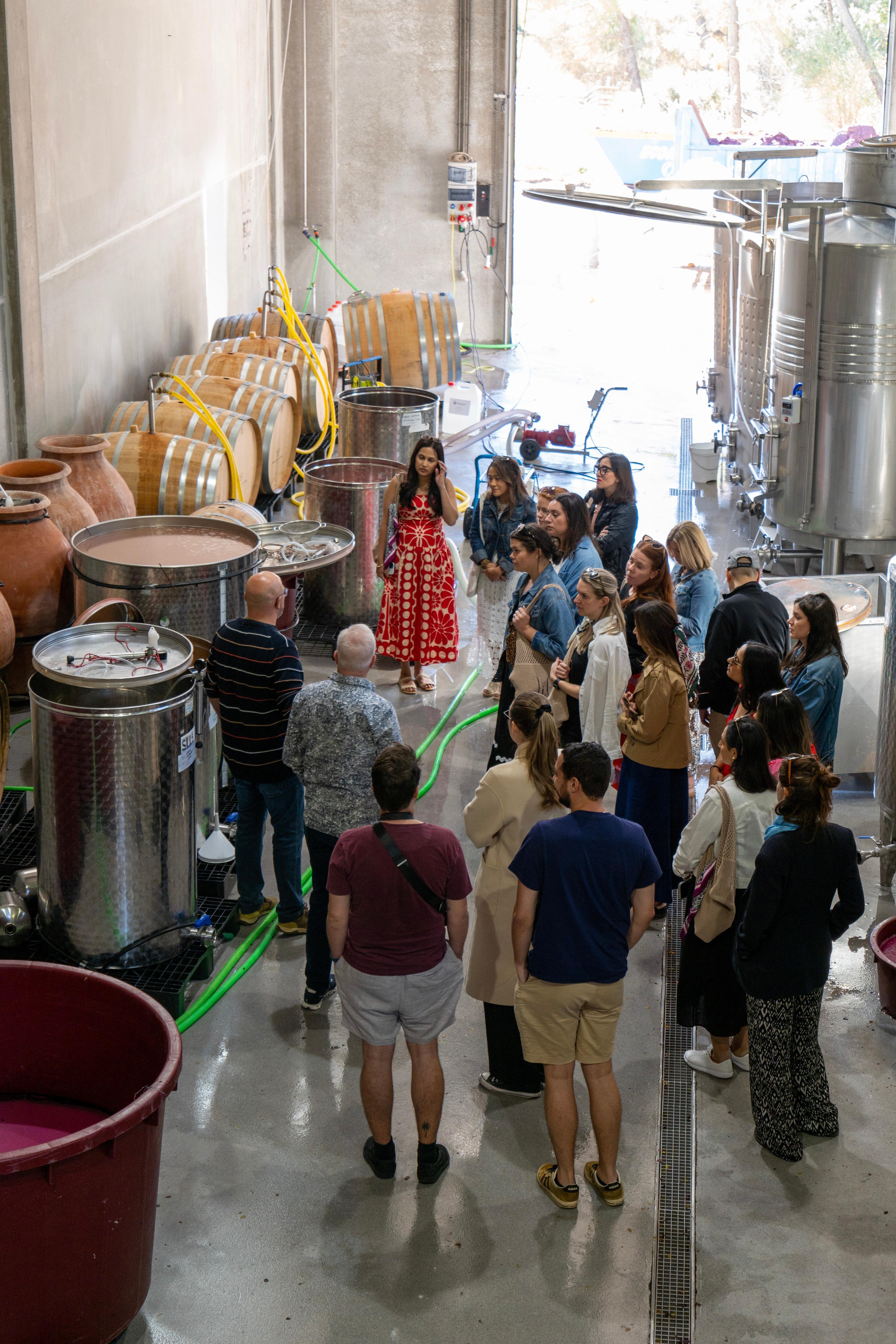 wine tour in Ribera del Duero — photo 25