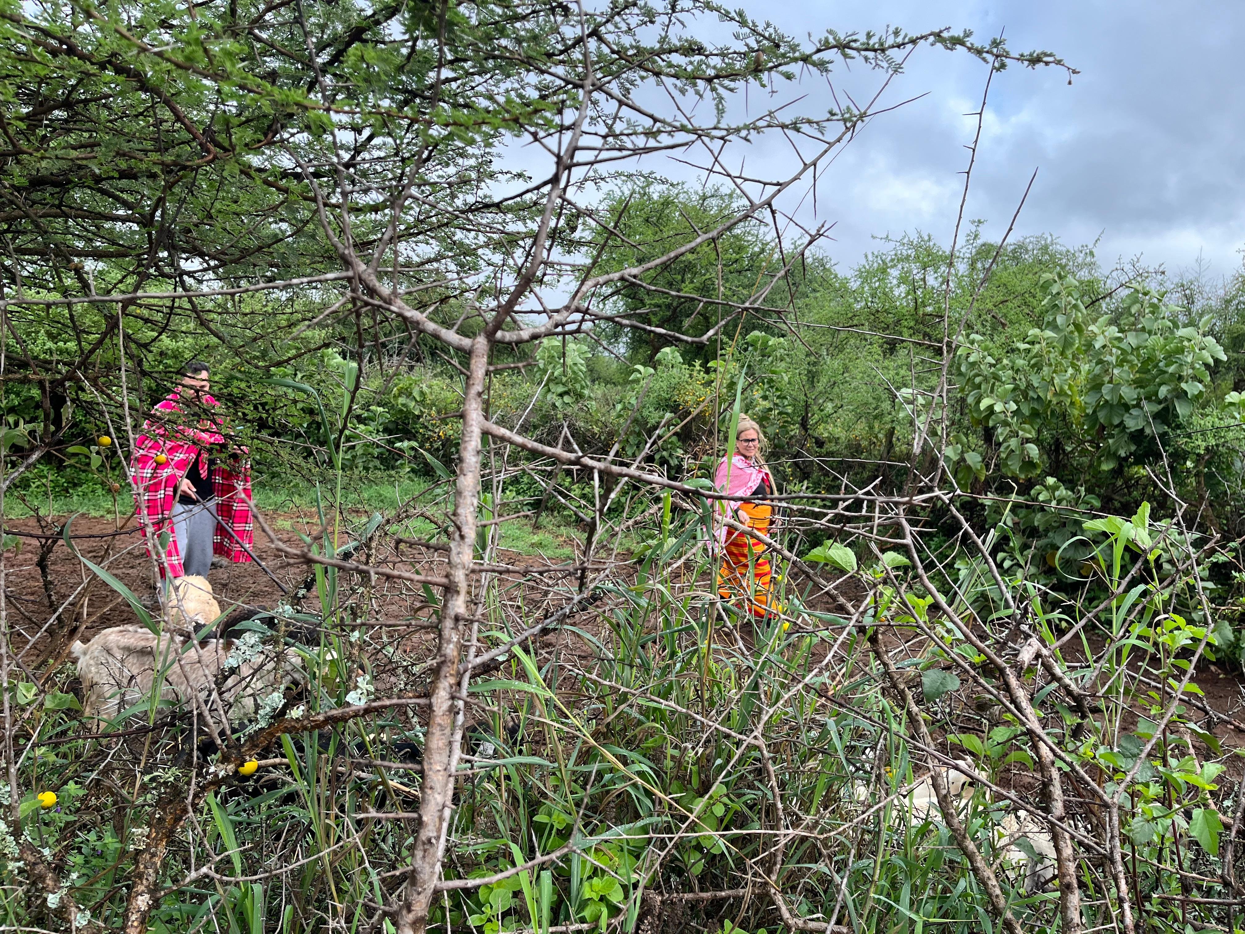 Authentic Maasai Village Day Tour from Nairobi