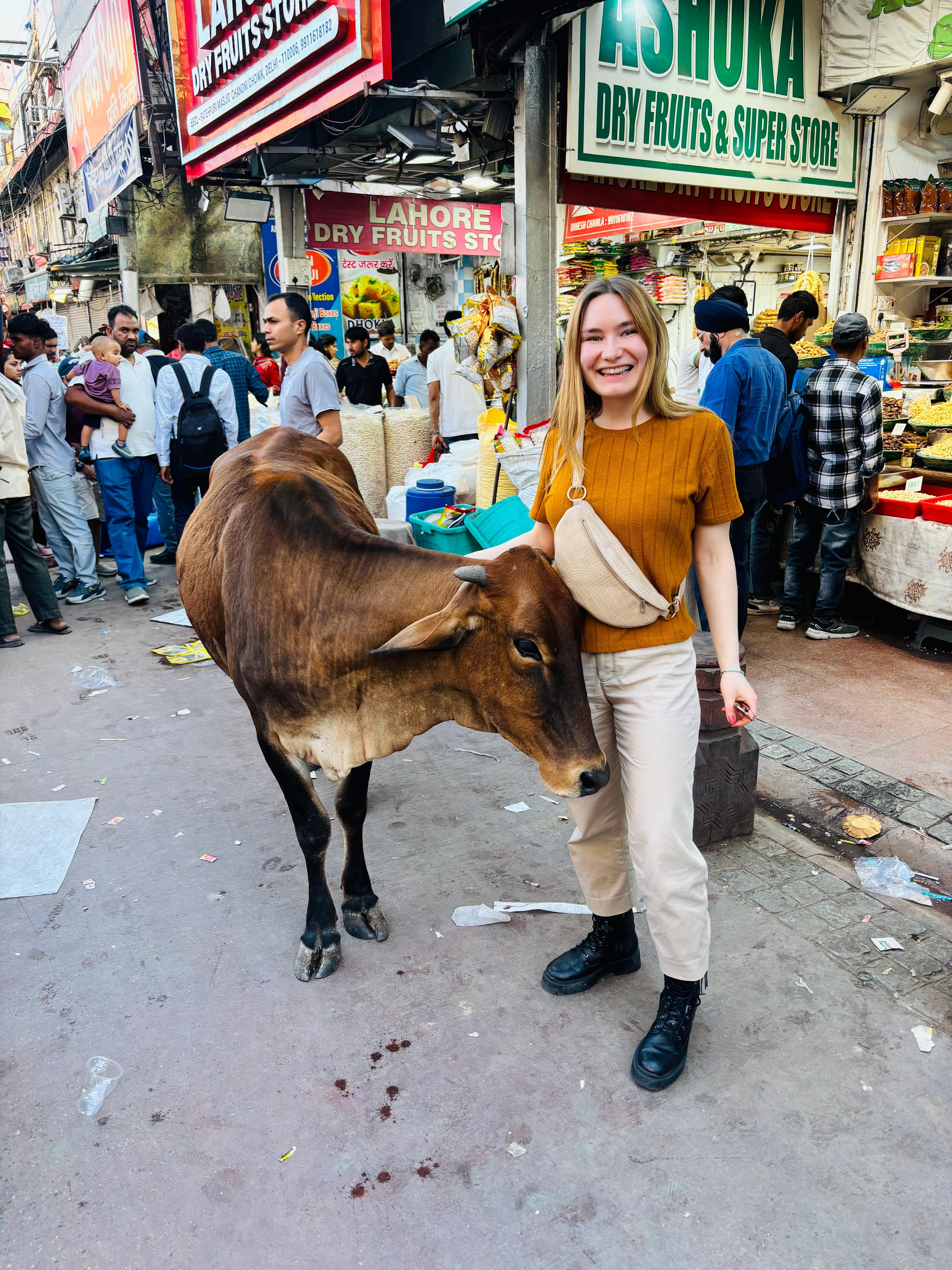 Delhi Personal Shopping Tour with Local Female Expert
