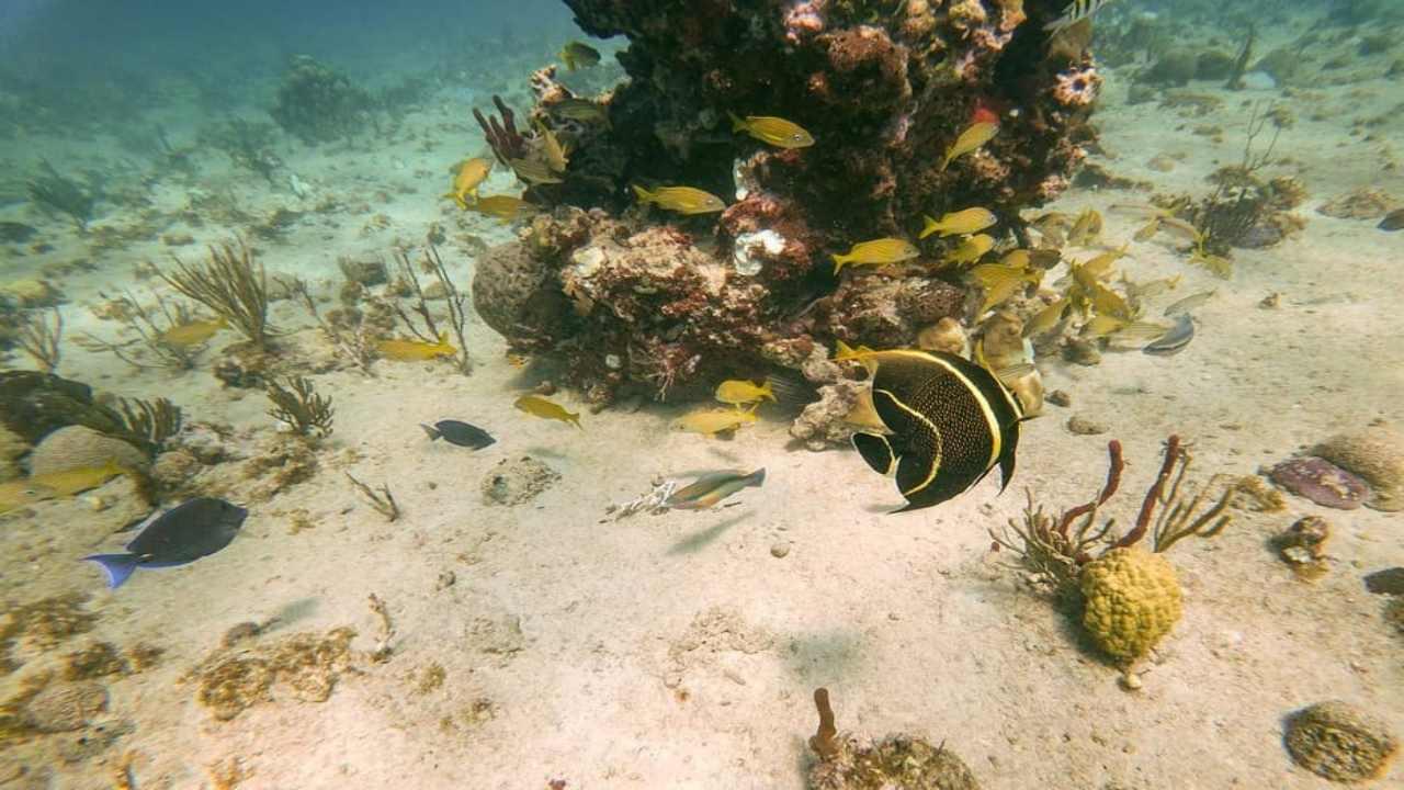 Catalina Island Snorkeling & Beach Escape from Punta Cana
