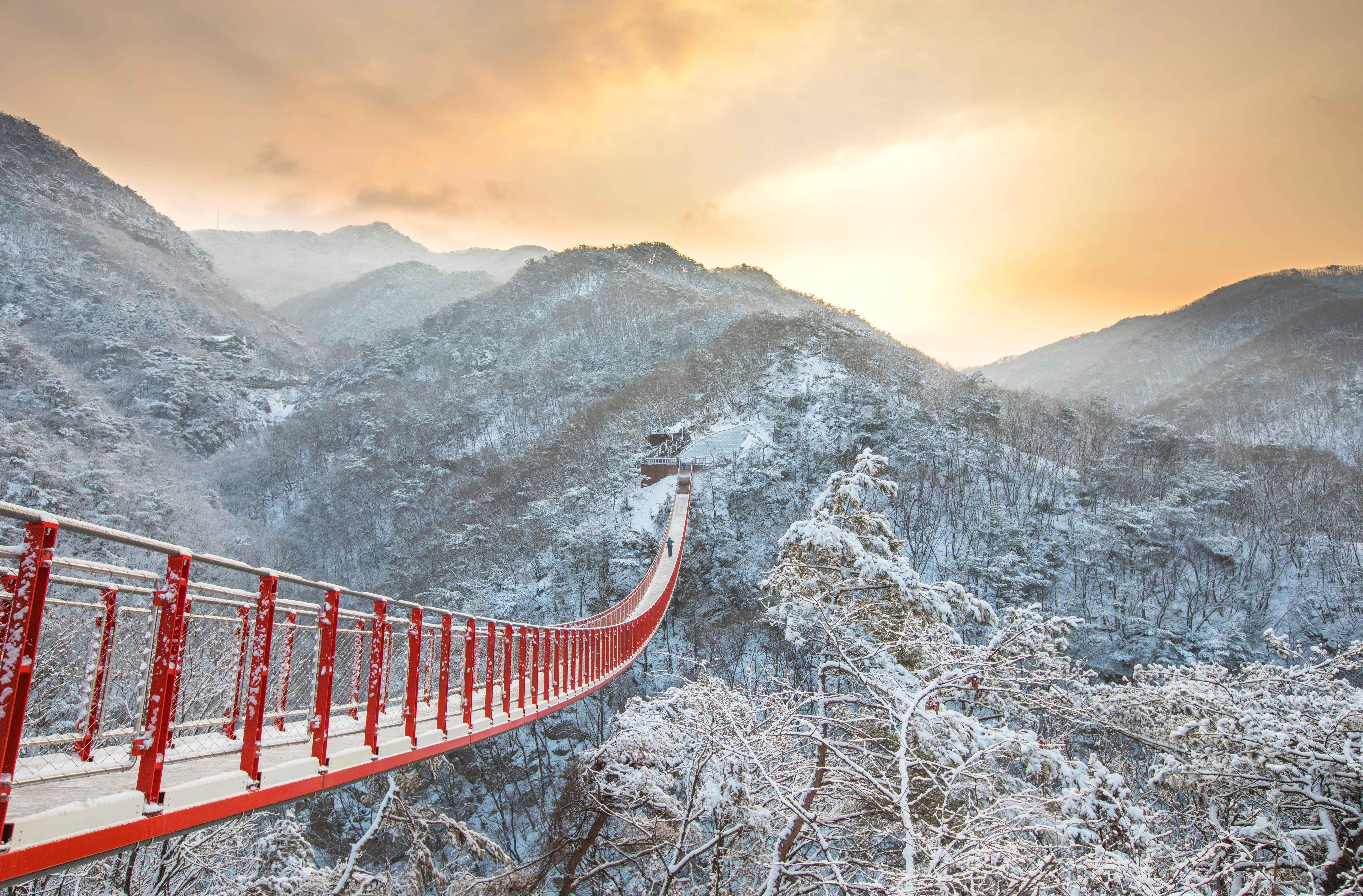 Seoul DMZ Tour: 3rd Infiltration Tunnel & Gamak Suspension Bridge