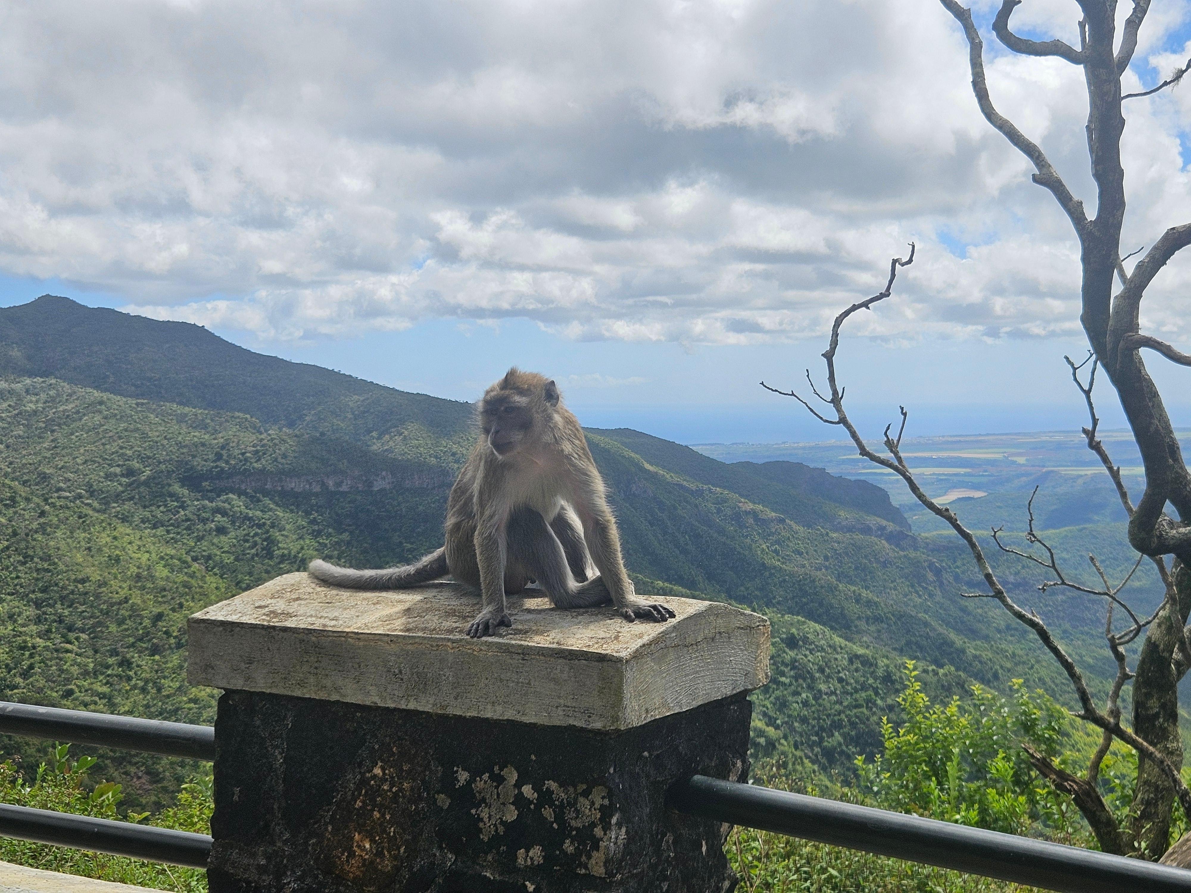 Private Southwest Mauritius: Chamarel & Nature Highlights