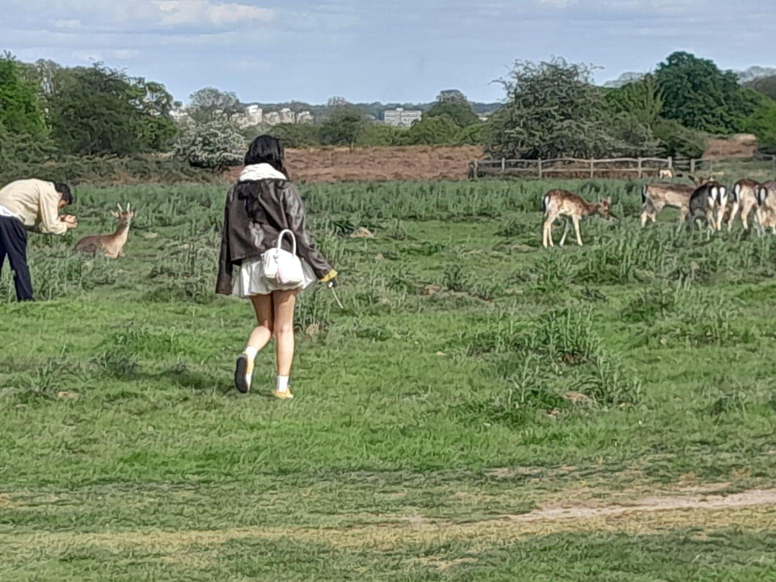 Private London: Kew Gardens, Richmond & Ted Lasso Tour