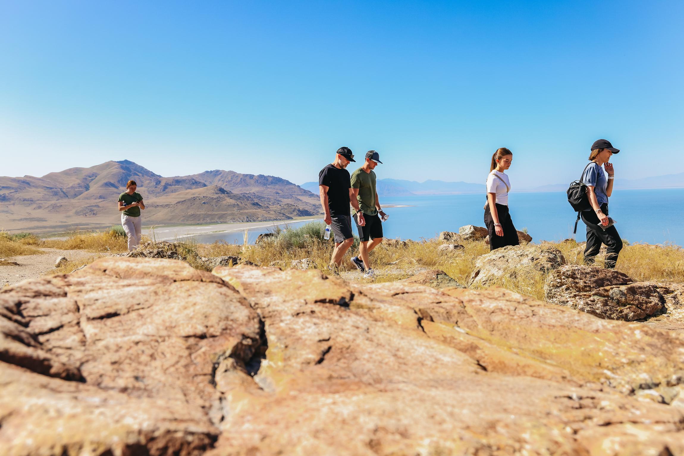 Great Salt Lake & Antelope Island Guided Tour