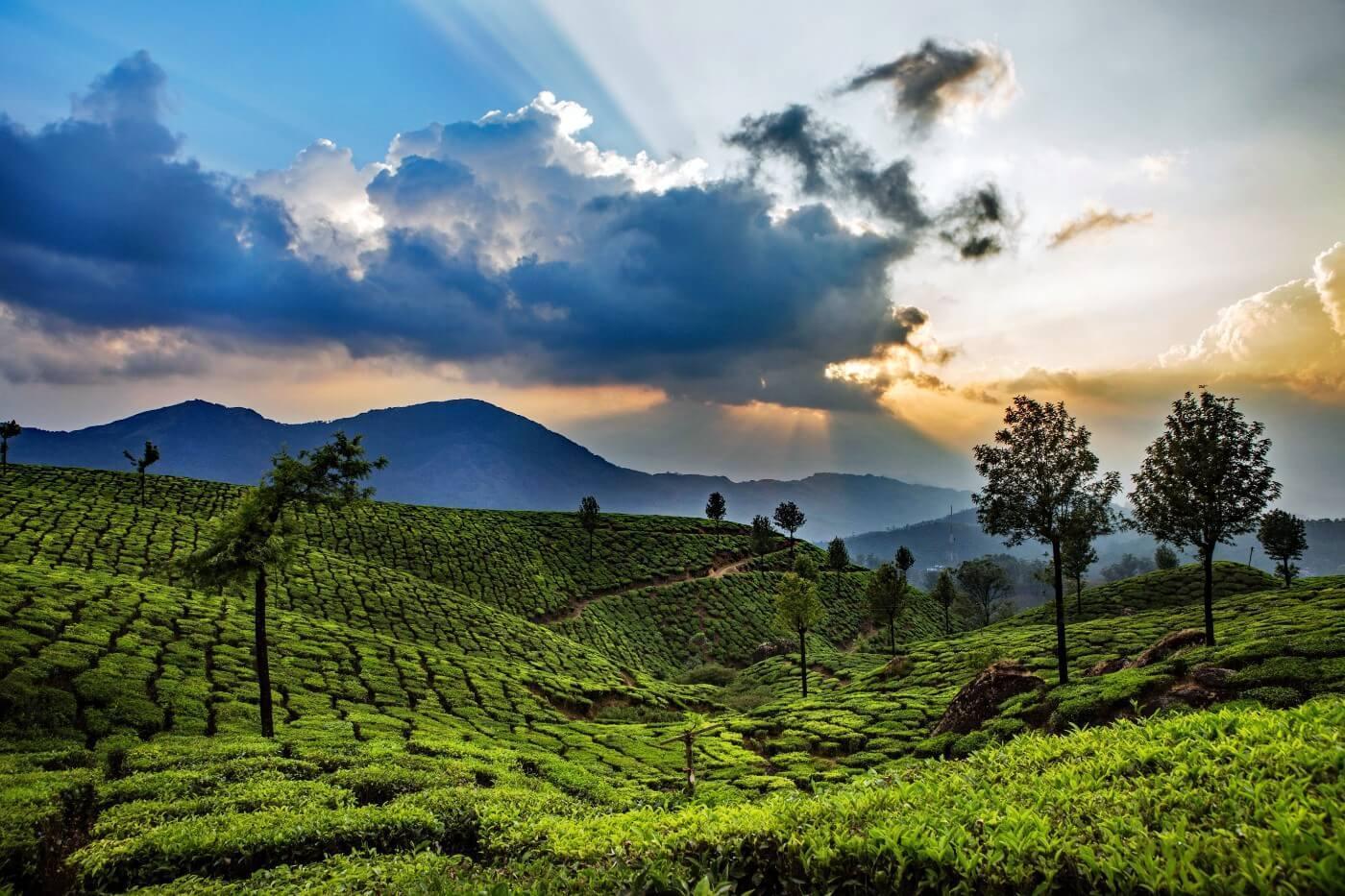 6-Day Kerala Backwaters and Houseboat Private Expedition