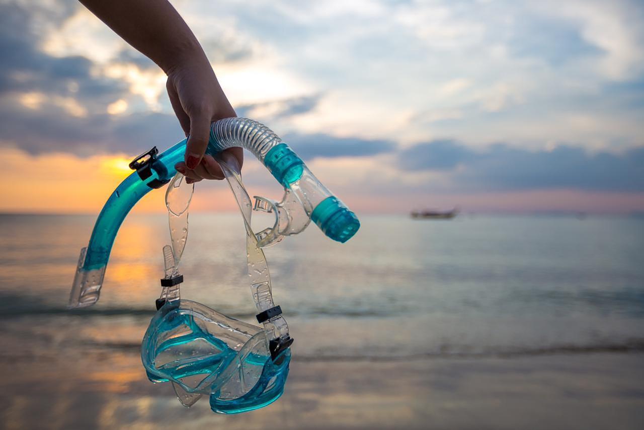 Ras Mohammed Luxury Dive Cruise from Sharm El Sheikh with Lunch