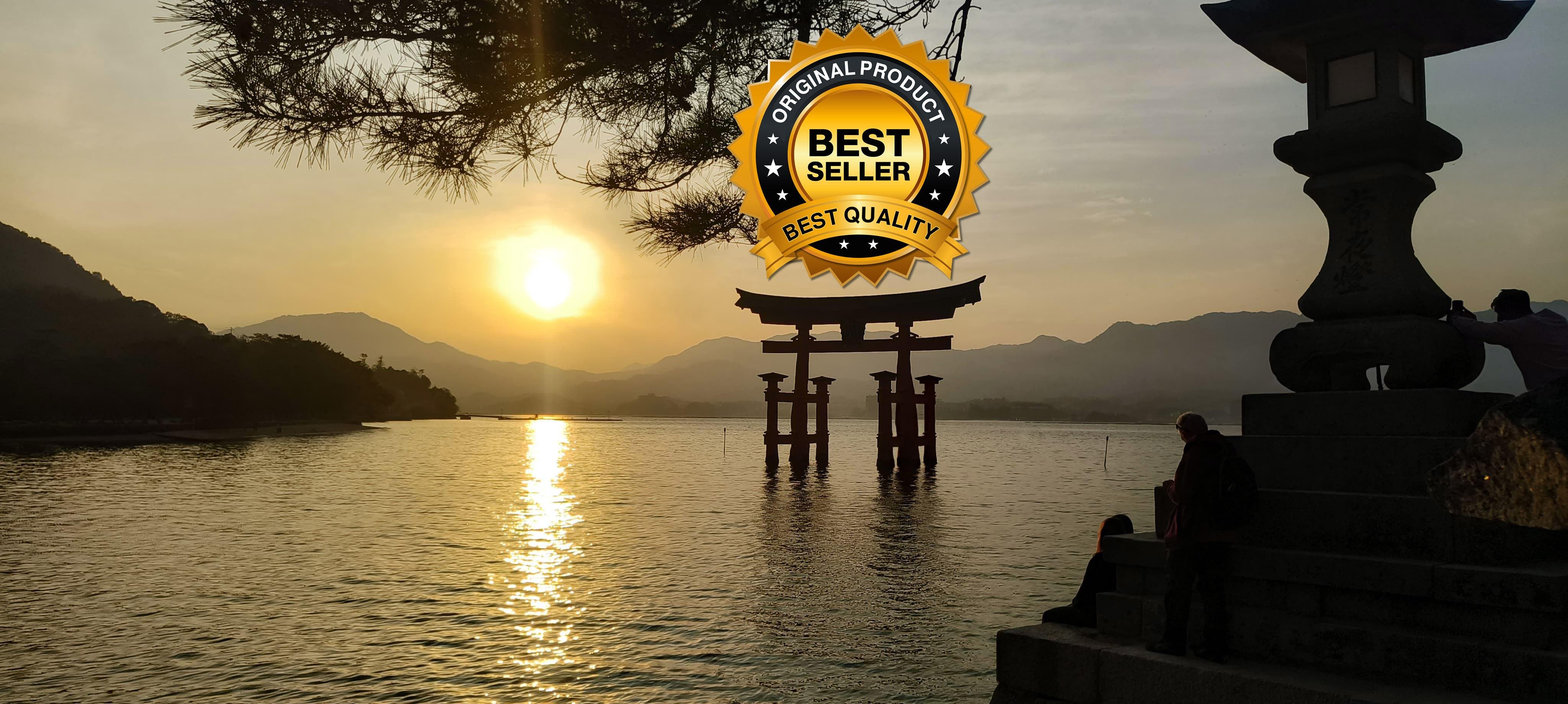 Tokyo to Mt. Fuji & Hakone: Private Full-Day Tour with English Driver
