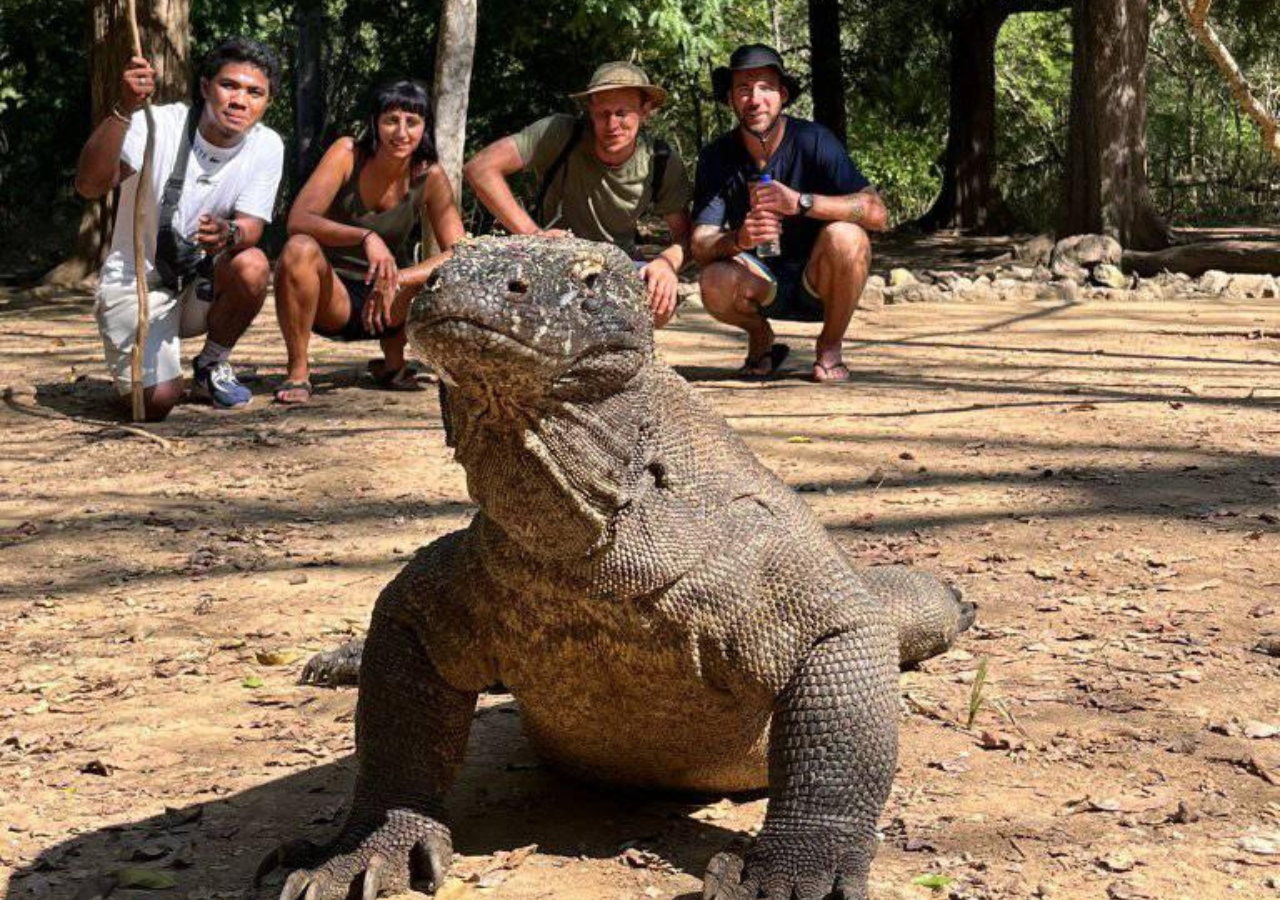 Komodo 4-Day Private Tour: Boat Stay, Padar Island & Pink Beach