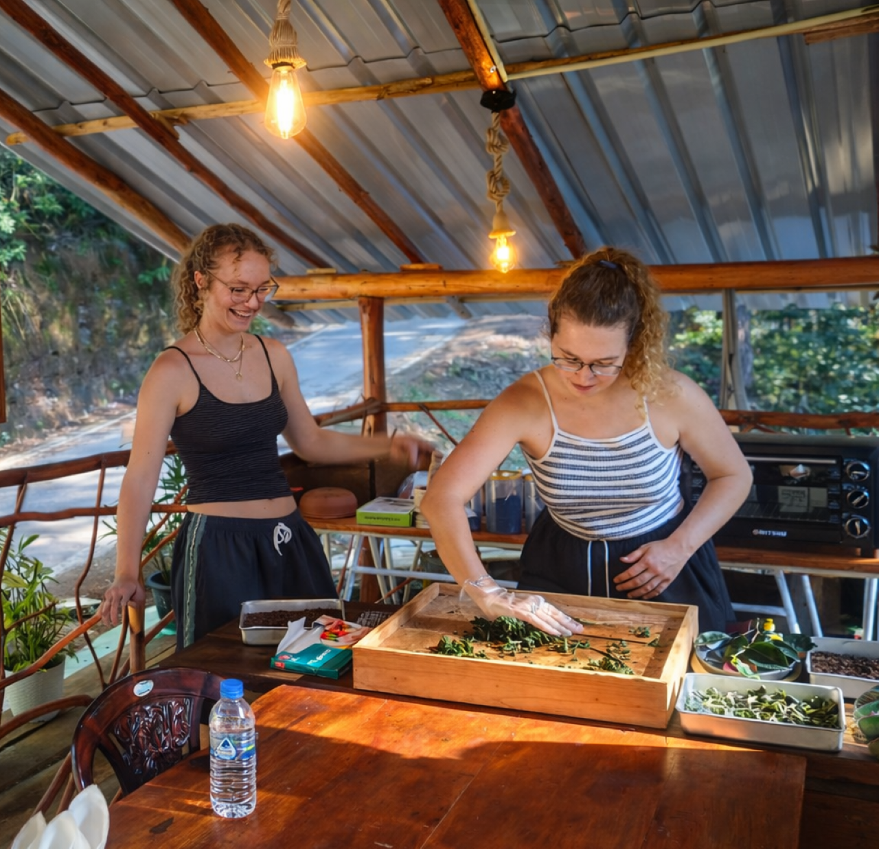 Ella: Hands-On Tea Making and Tasting Experience