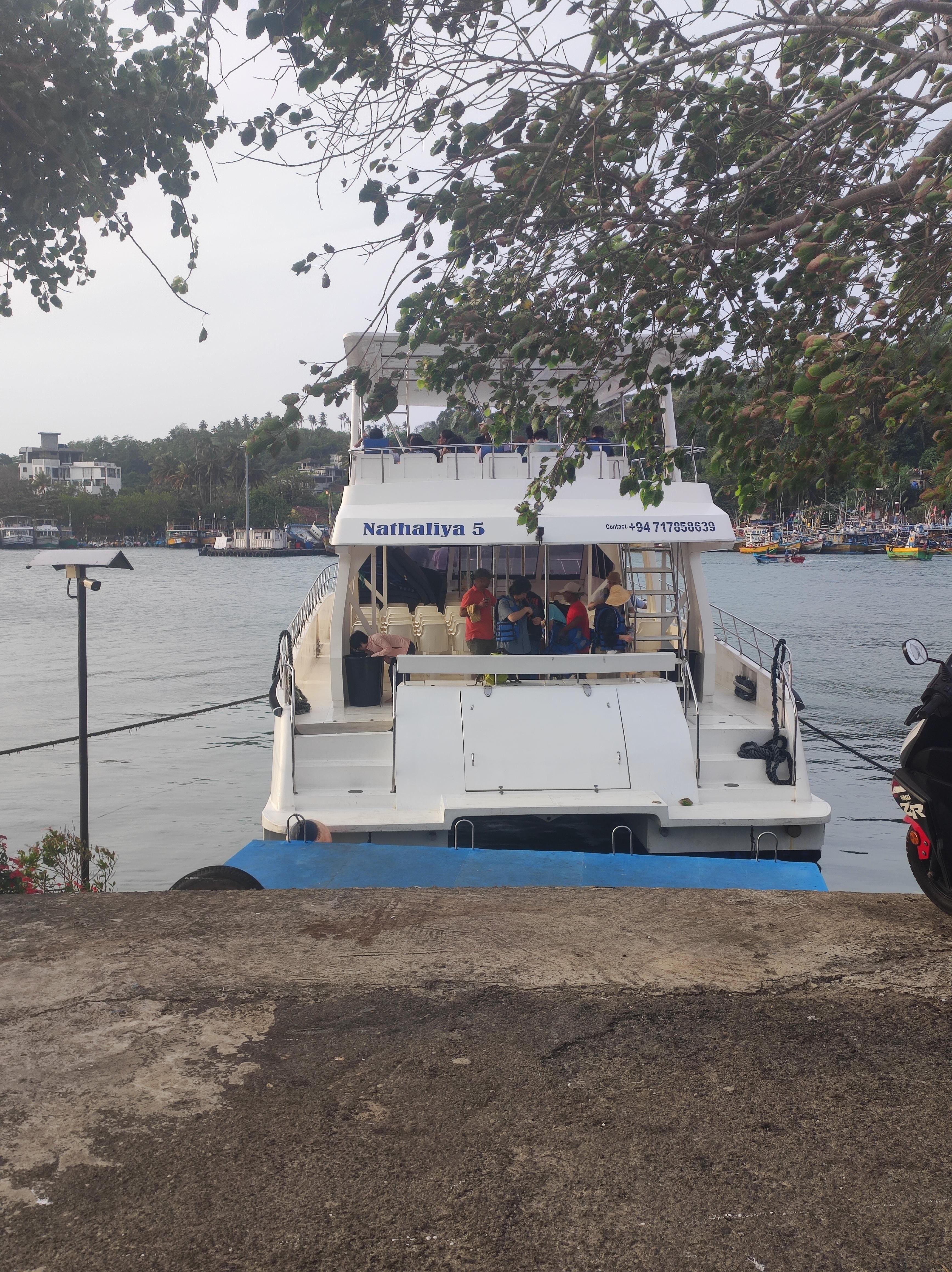 Mirissa Whale & Dolphin Spotting Cruise
