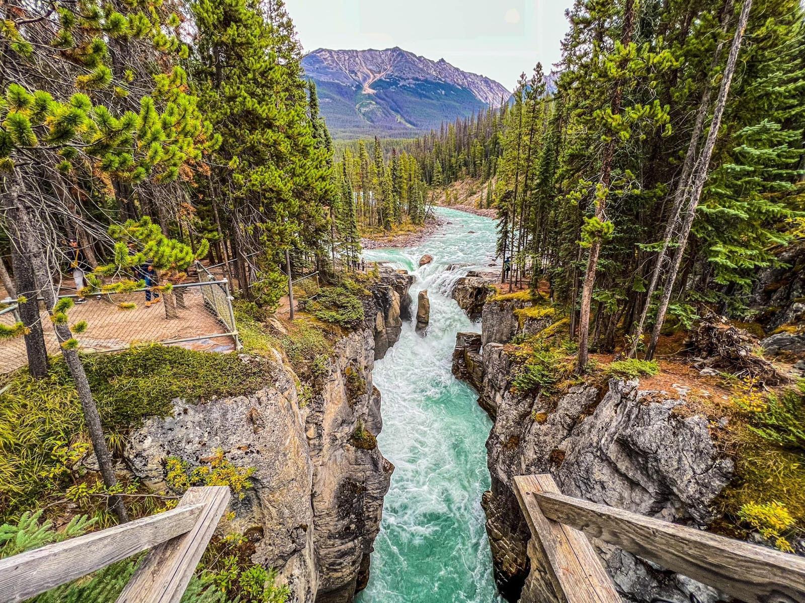 Emerald Lake canoe green glacial water President Range Yoho National Park British Columbia — image 7