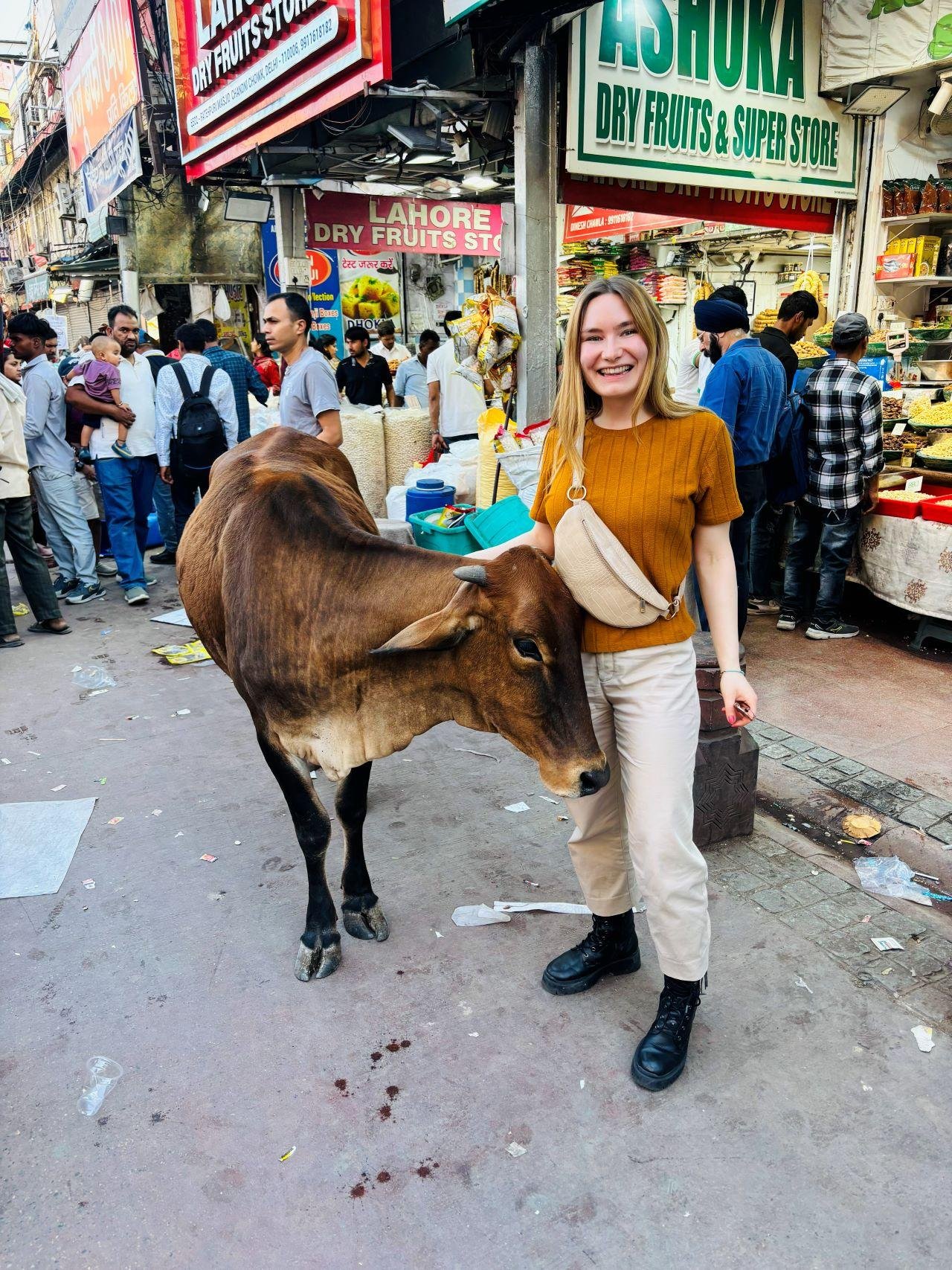 Private Delhi Heritage & Landmarks Tour