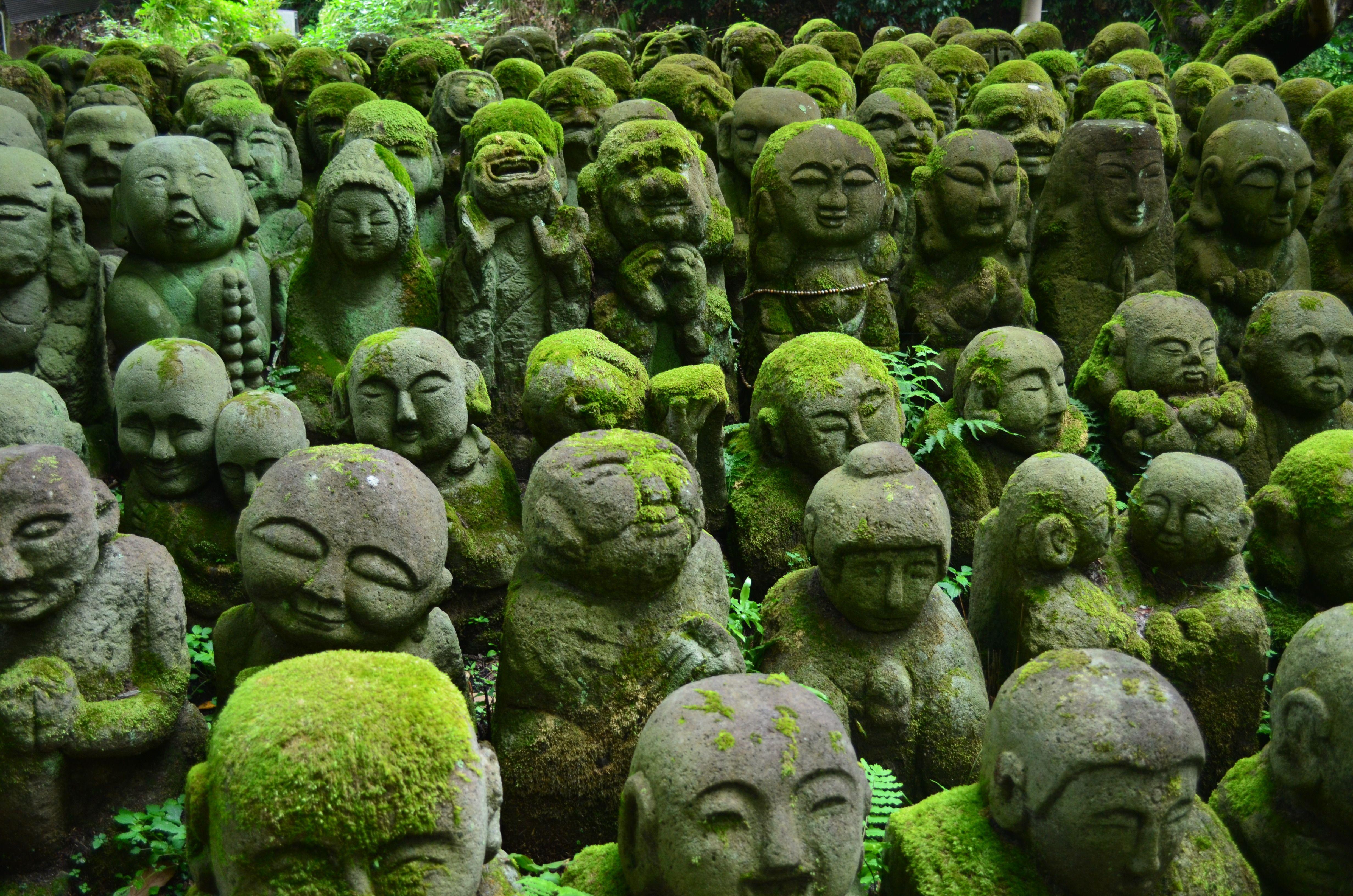 Kyoto: Privat heldagstur til høydepunktene med bil og guide