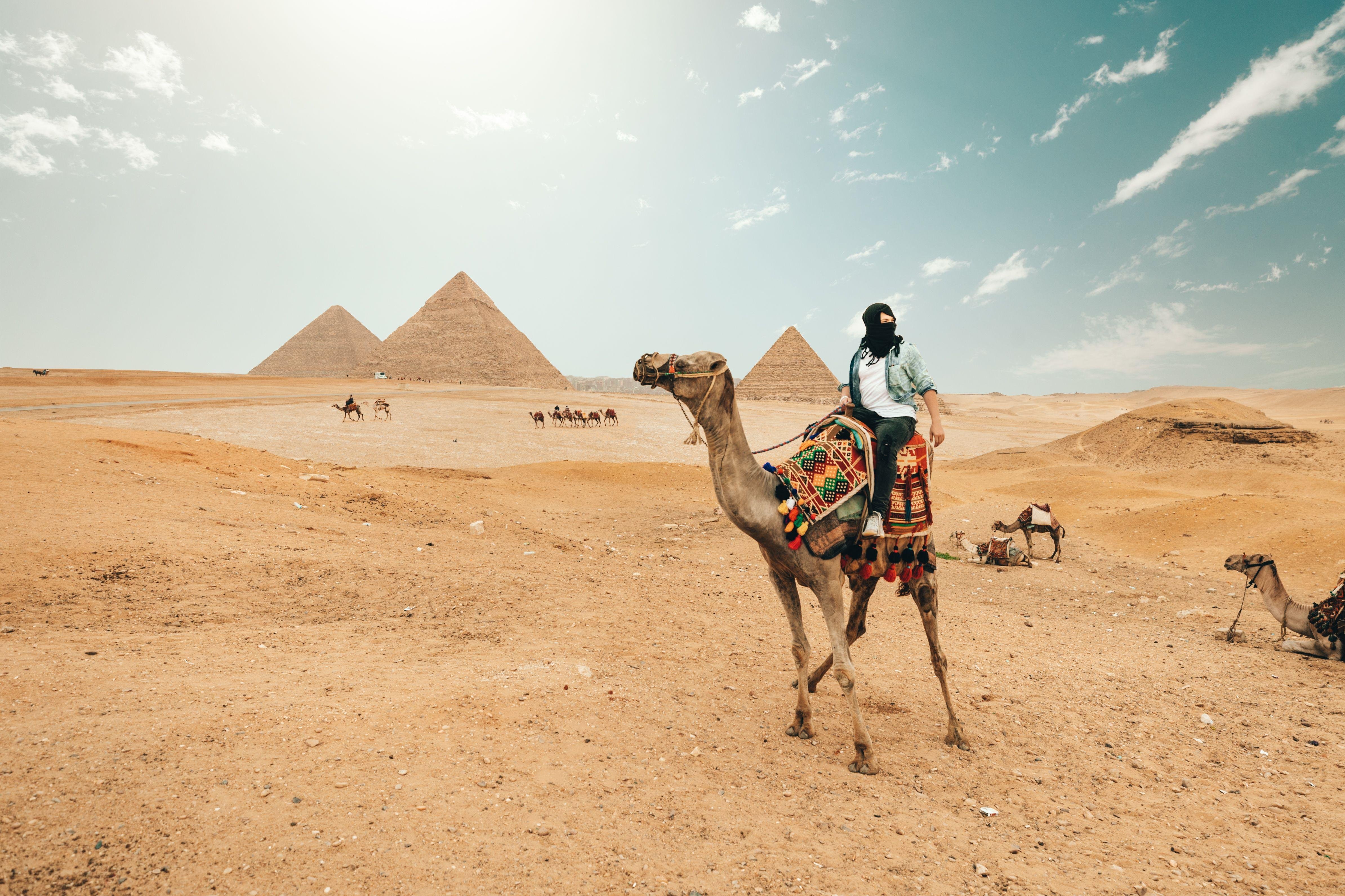 Giza Pyramids & Grand Egyptian Museum Experience