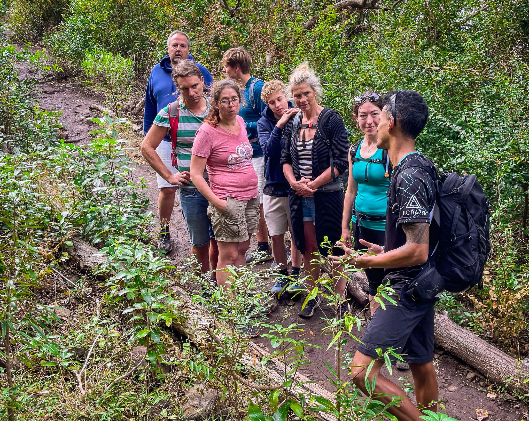 Le Morne Brabant Sunrise Summit Hike