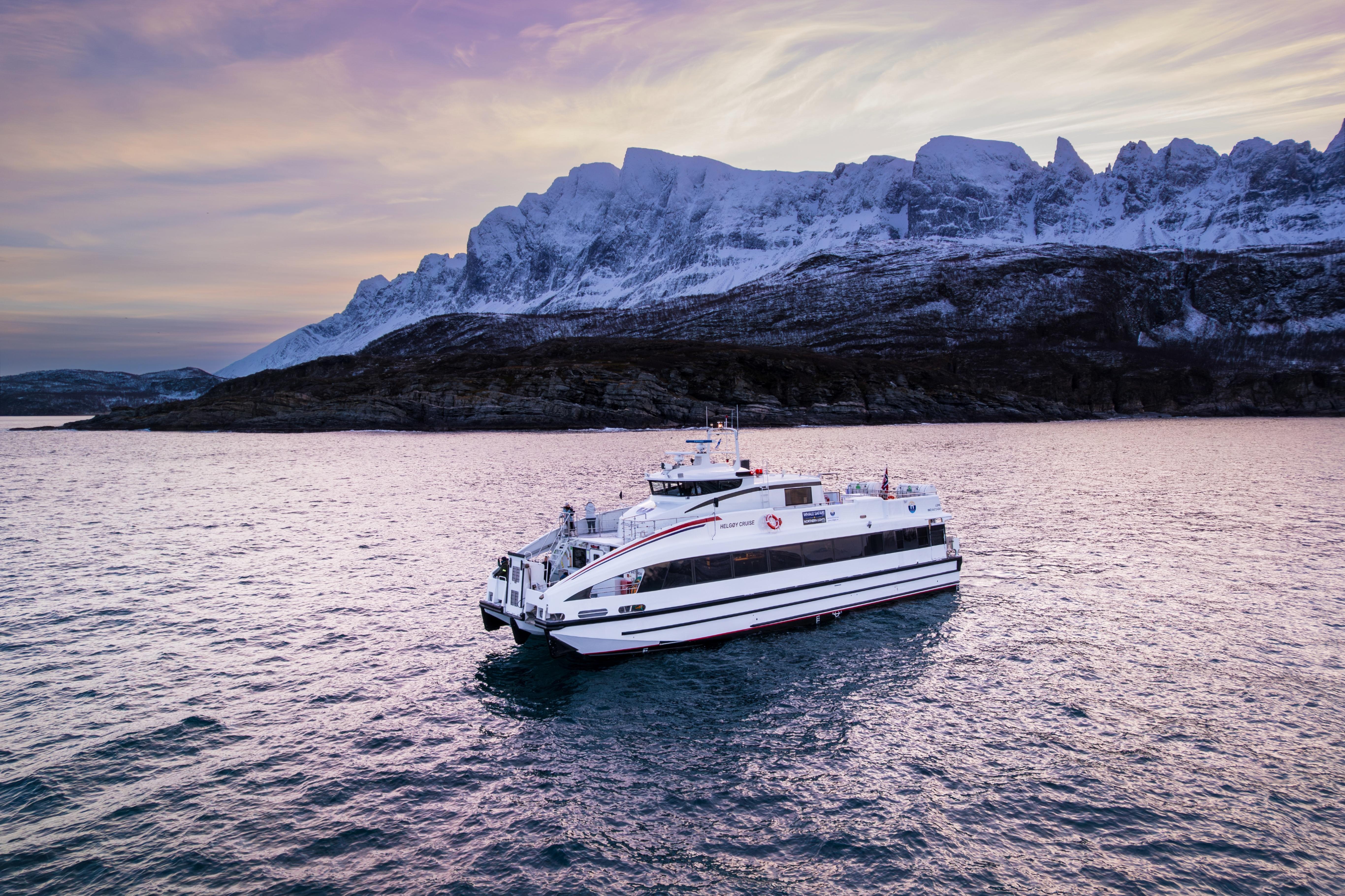 Tromsø Arctic Whale Watching Cruise by High-Speed Catamaran