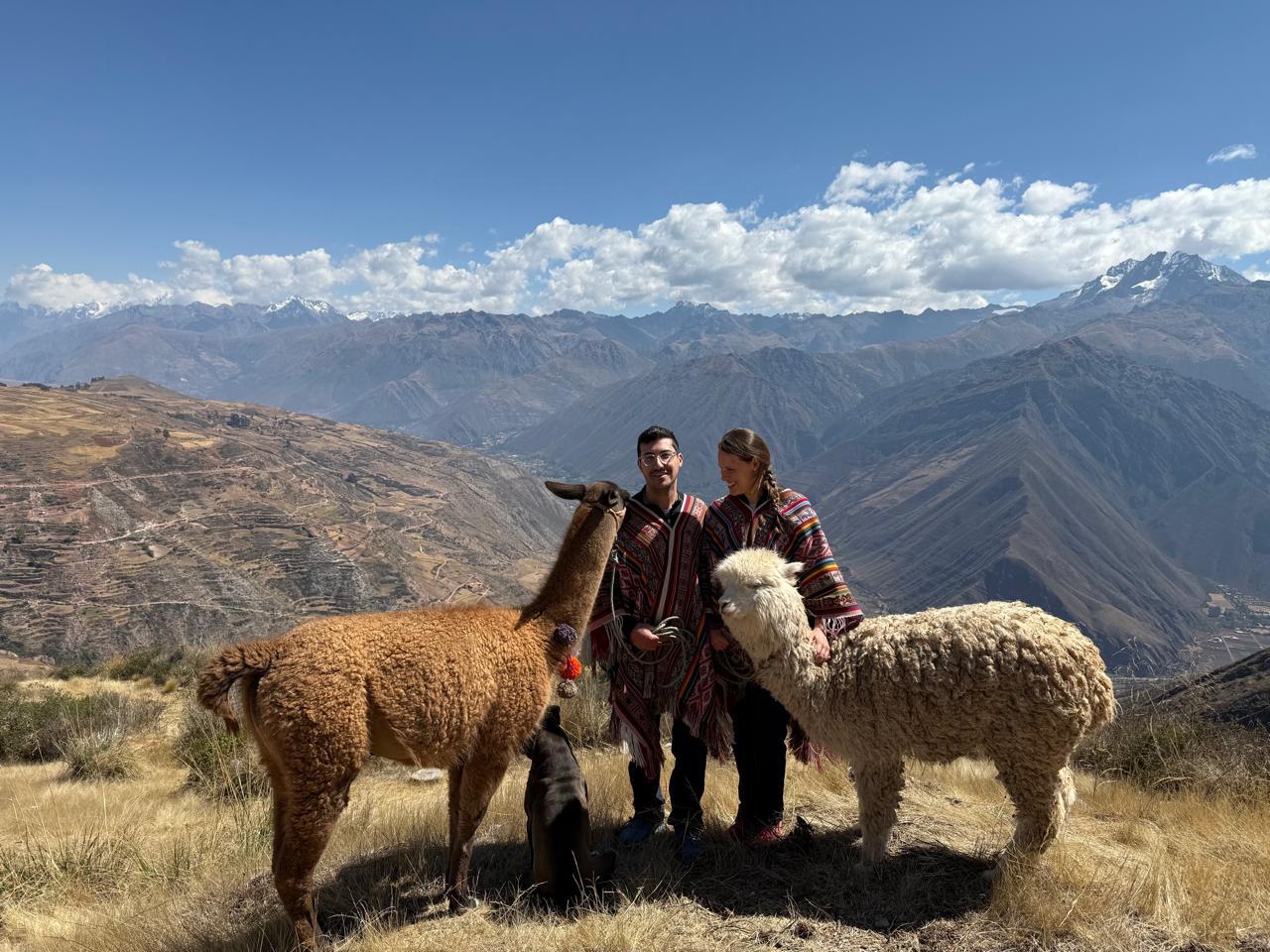 Alpaca Trekking Experience in Chinchero