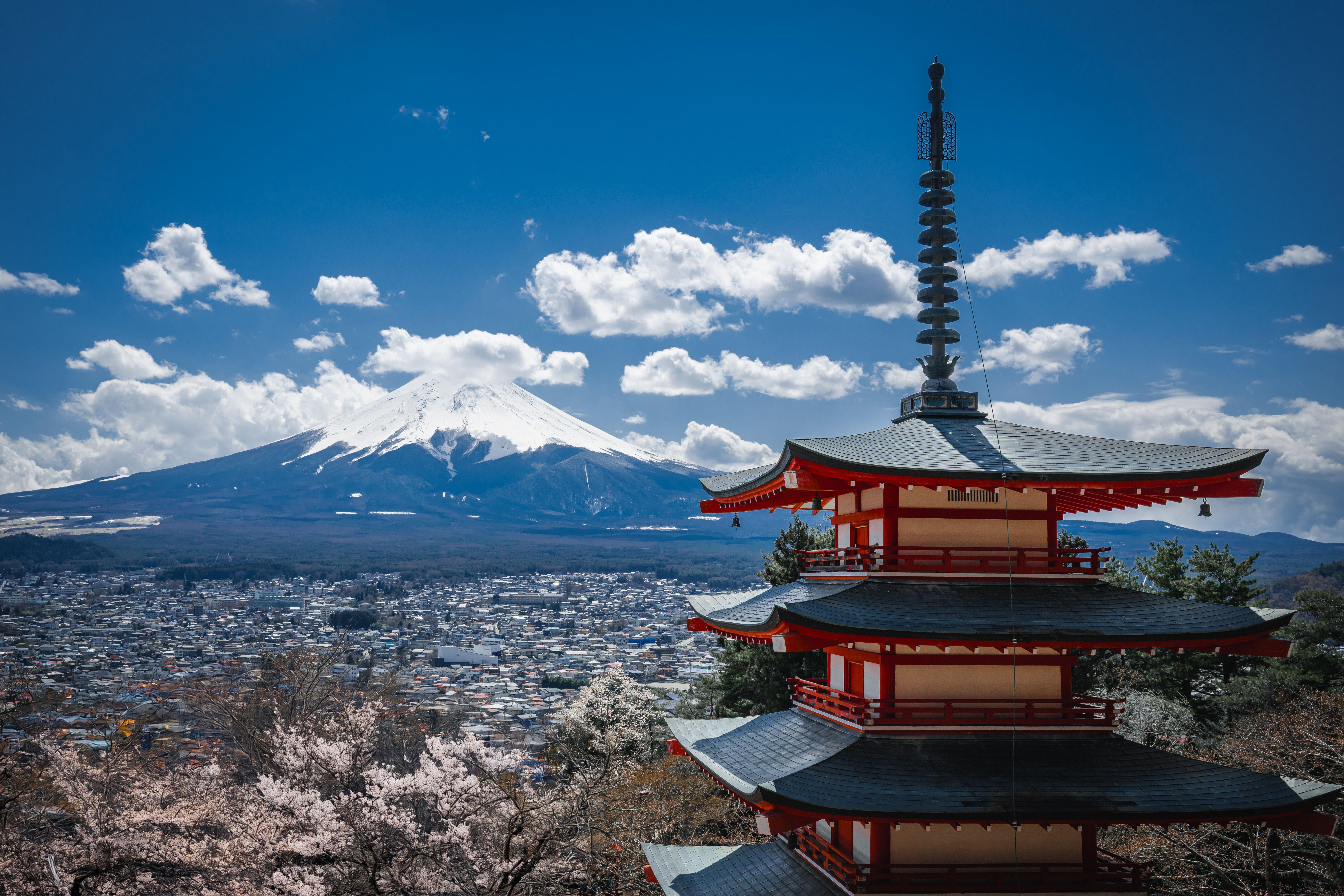 Private Mt. Fuji & Hakone Tour with English-Speaking Guide