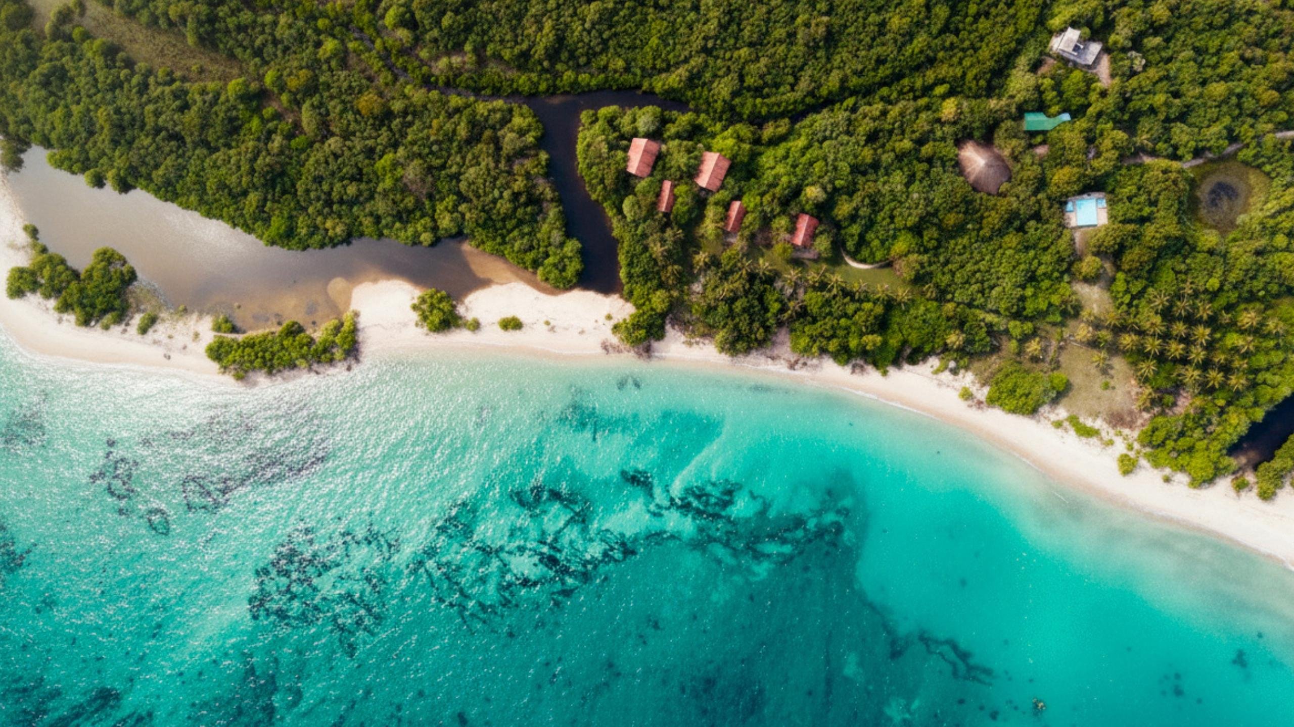 Pasikuda Scuba Diving Adventure with Beach Resort Stay