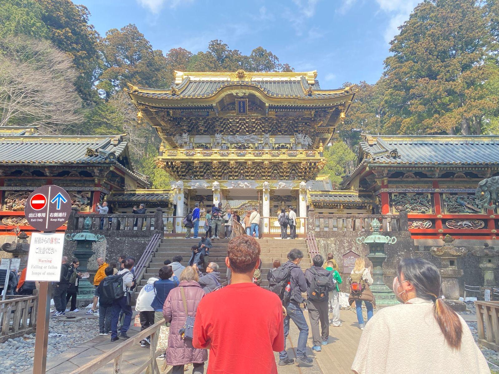 Nikko Hidden Waterfalls, Shrines & Forest Day Tour