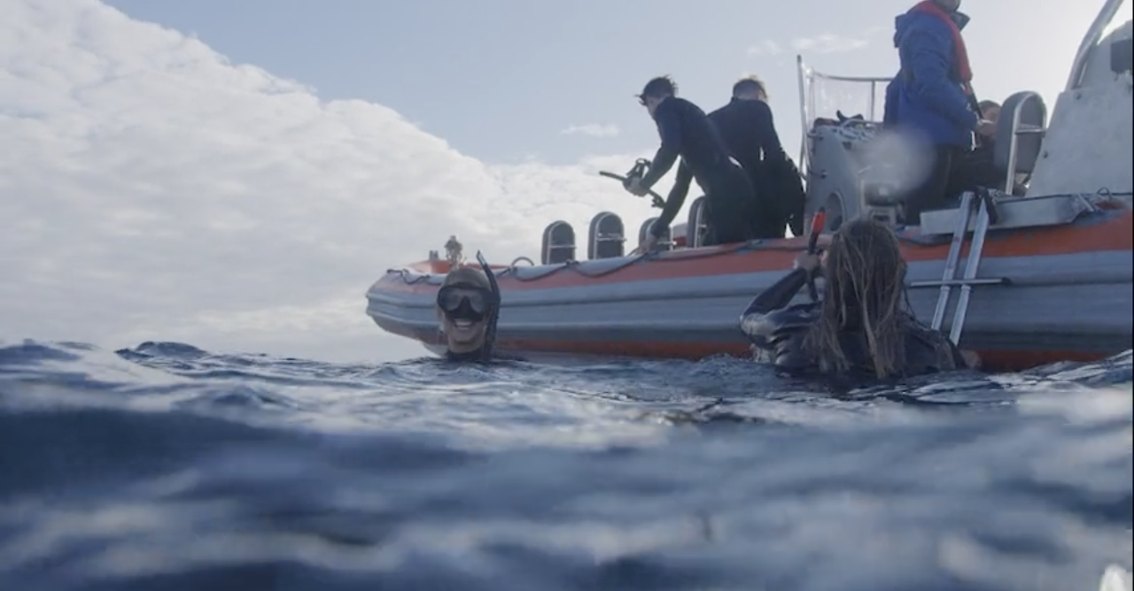 Swimmers in wetsuits beside the whale-swim boat after a swim
