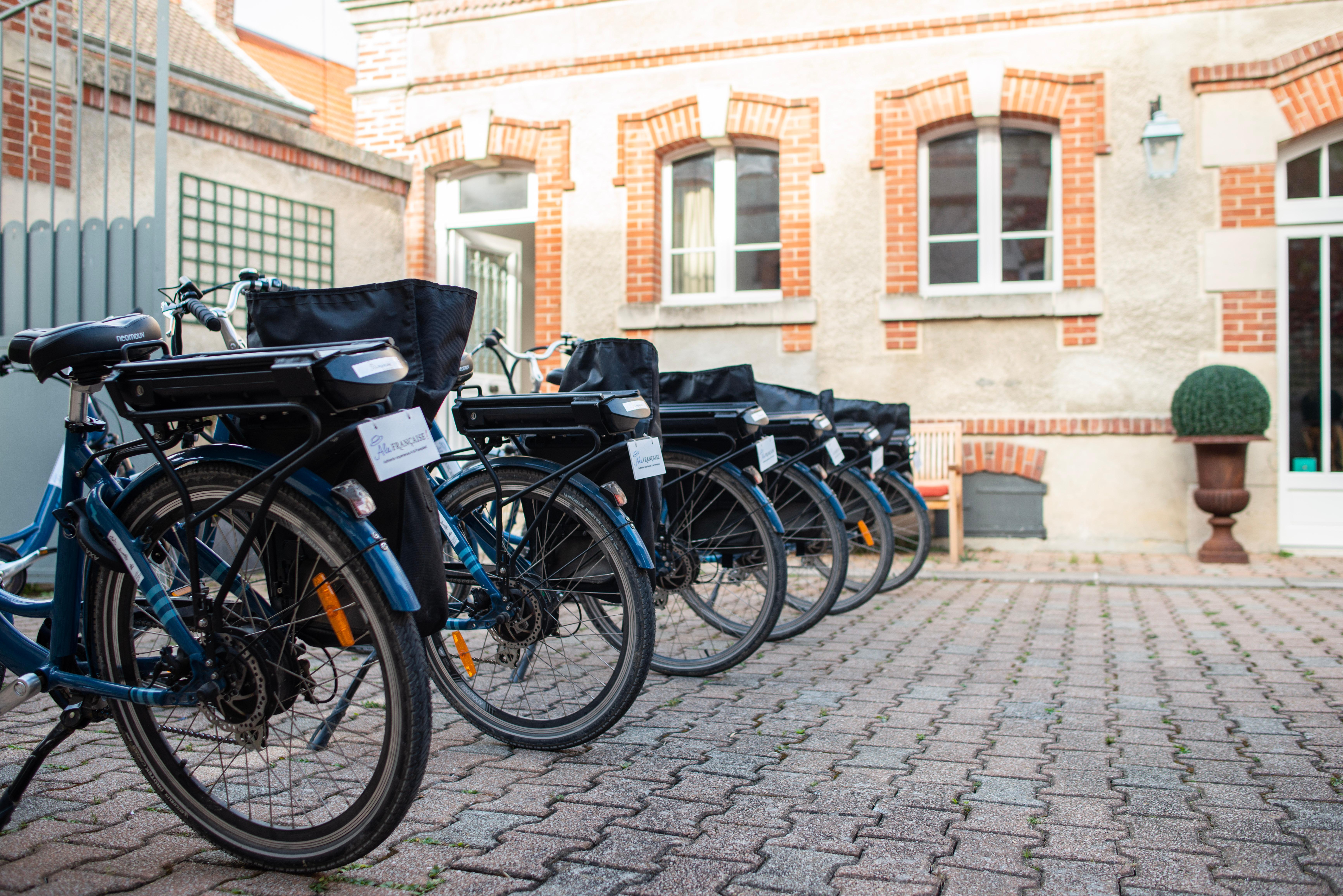 Bike & vineyard Champagne tour — Pinot Noir Verzenay slopes, e-bike, vintage car, family domain — image 2