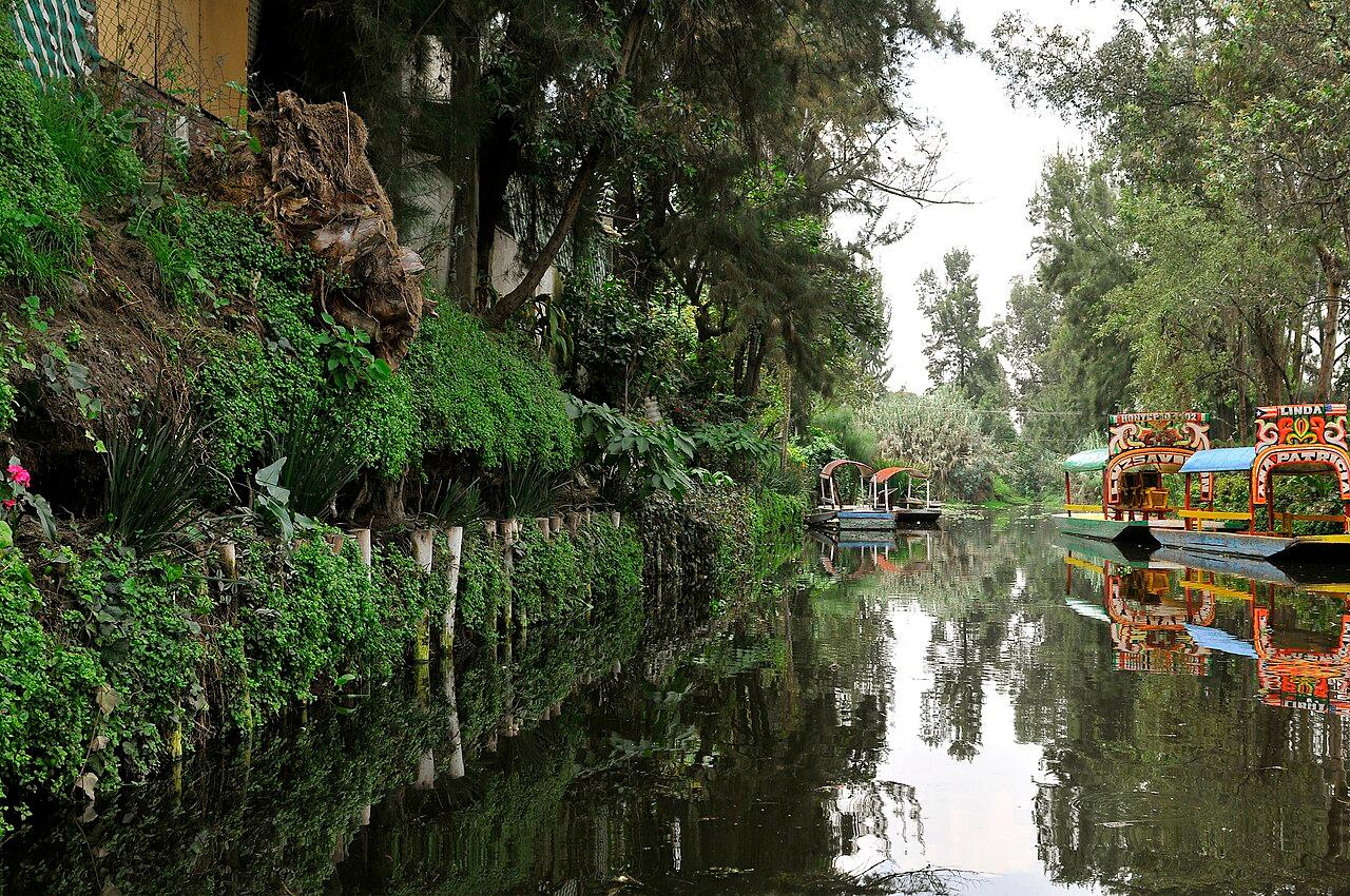 Mexico City Cultural Full-Day Tour: Xochimilco, UNAM & Coyoacán