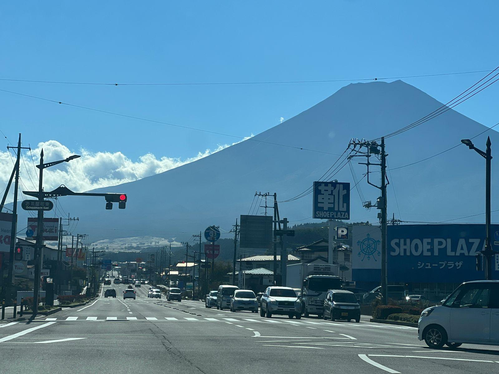 Tokyo to Mt. Fuji & Hakone: Private Full-Day Tour with English Driver
