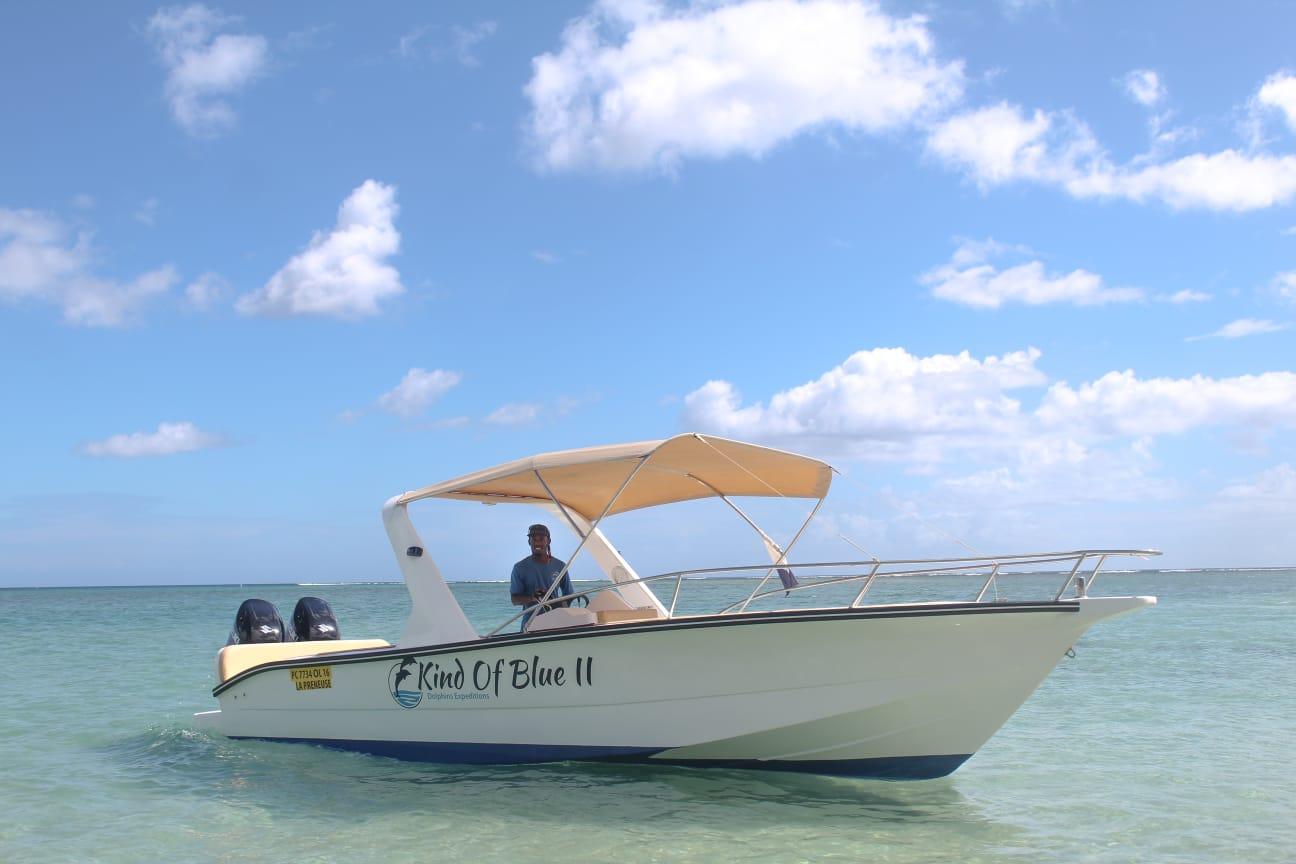 Dolphin Encounter & Snorkeling Speedboat Adventure